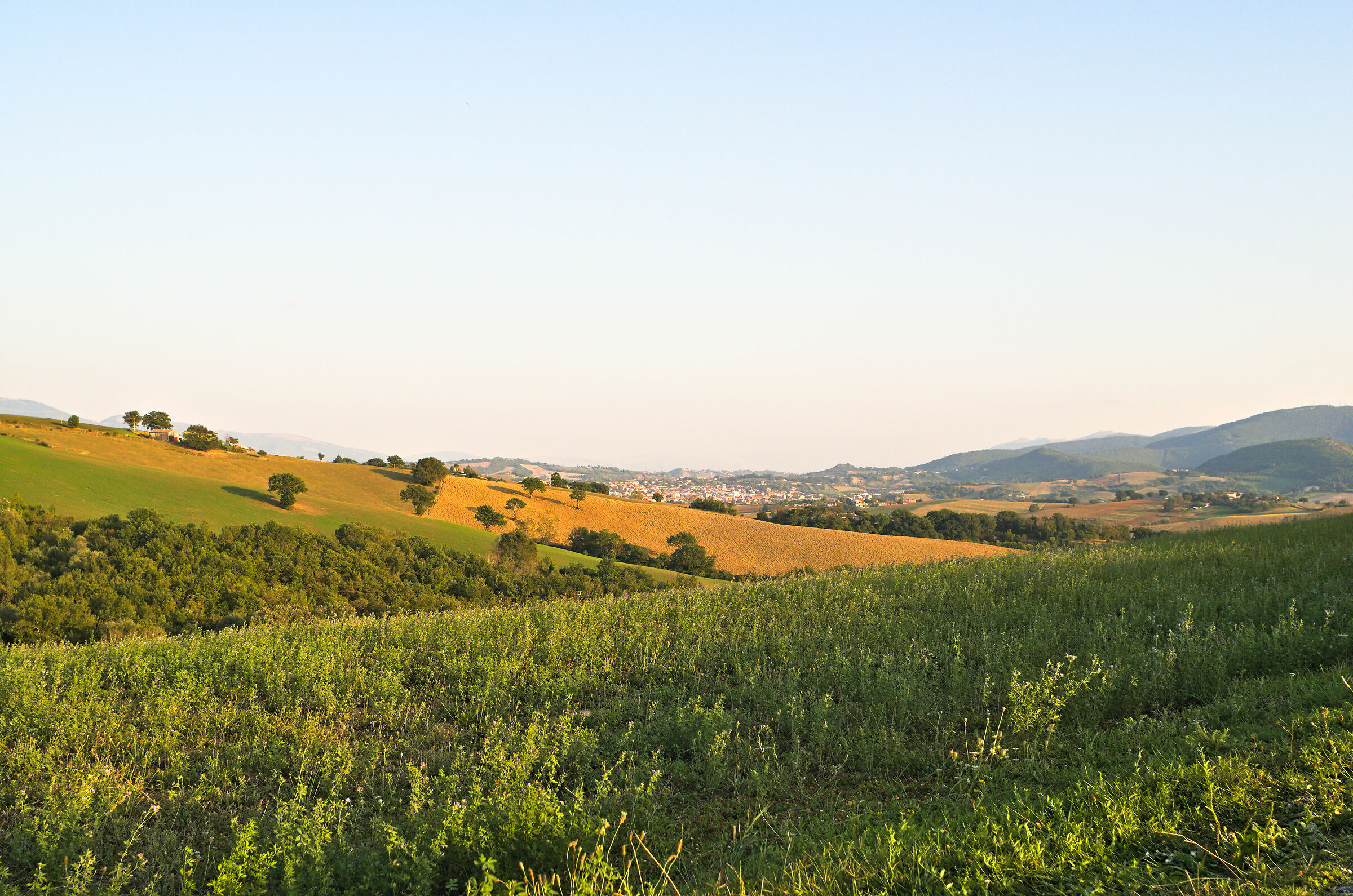 Untitled Photo