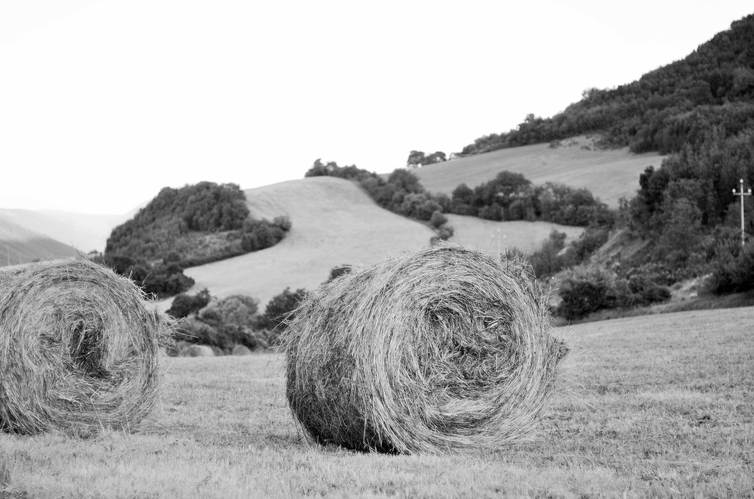 Untitled Photo