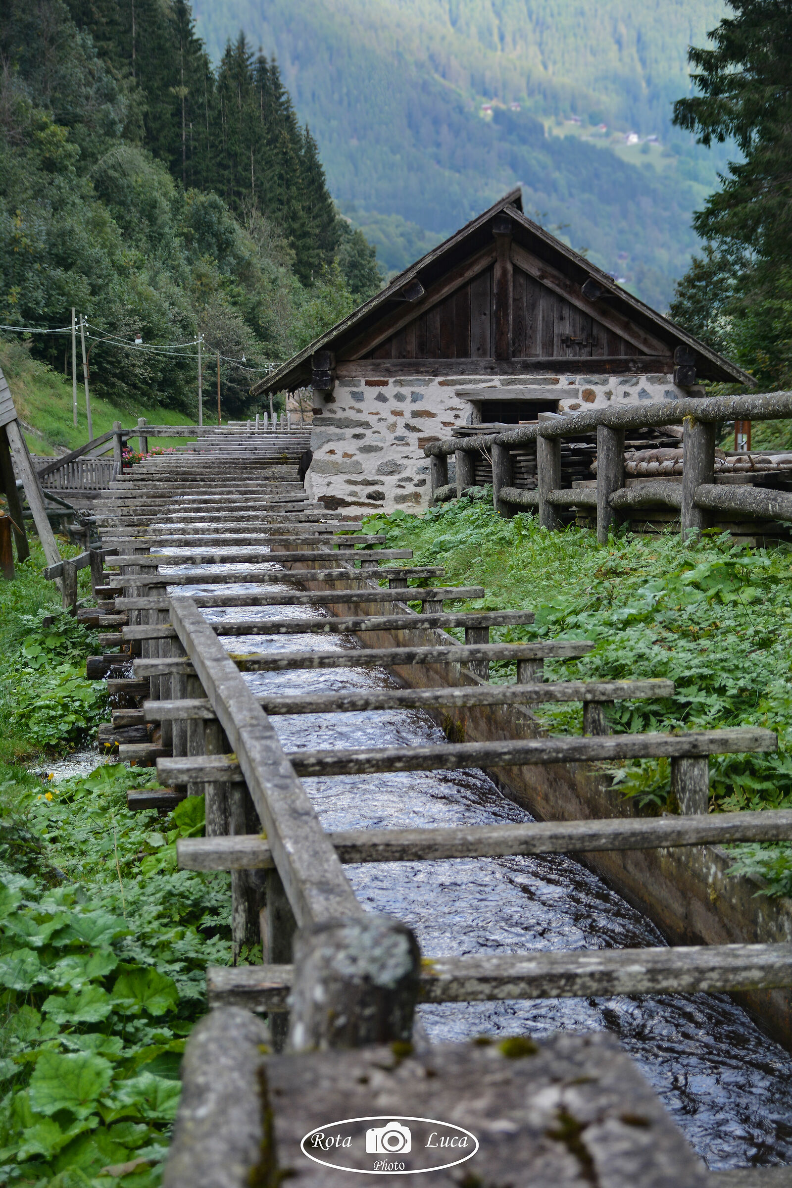 Mulino