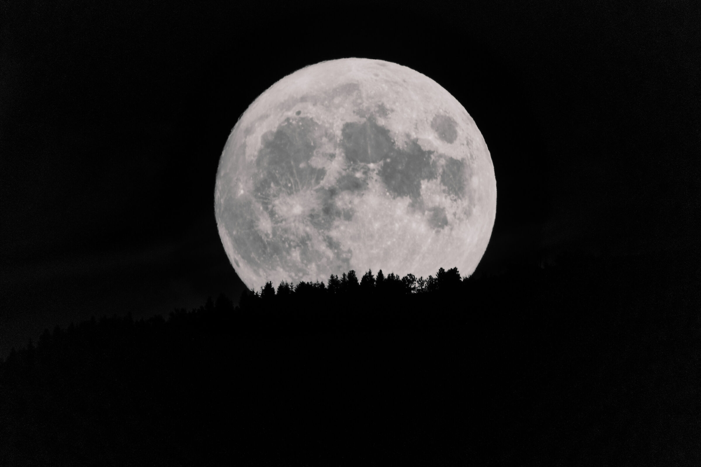 Moon rising