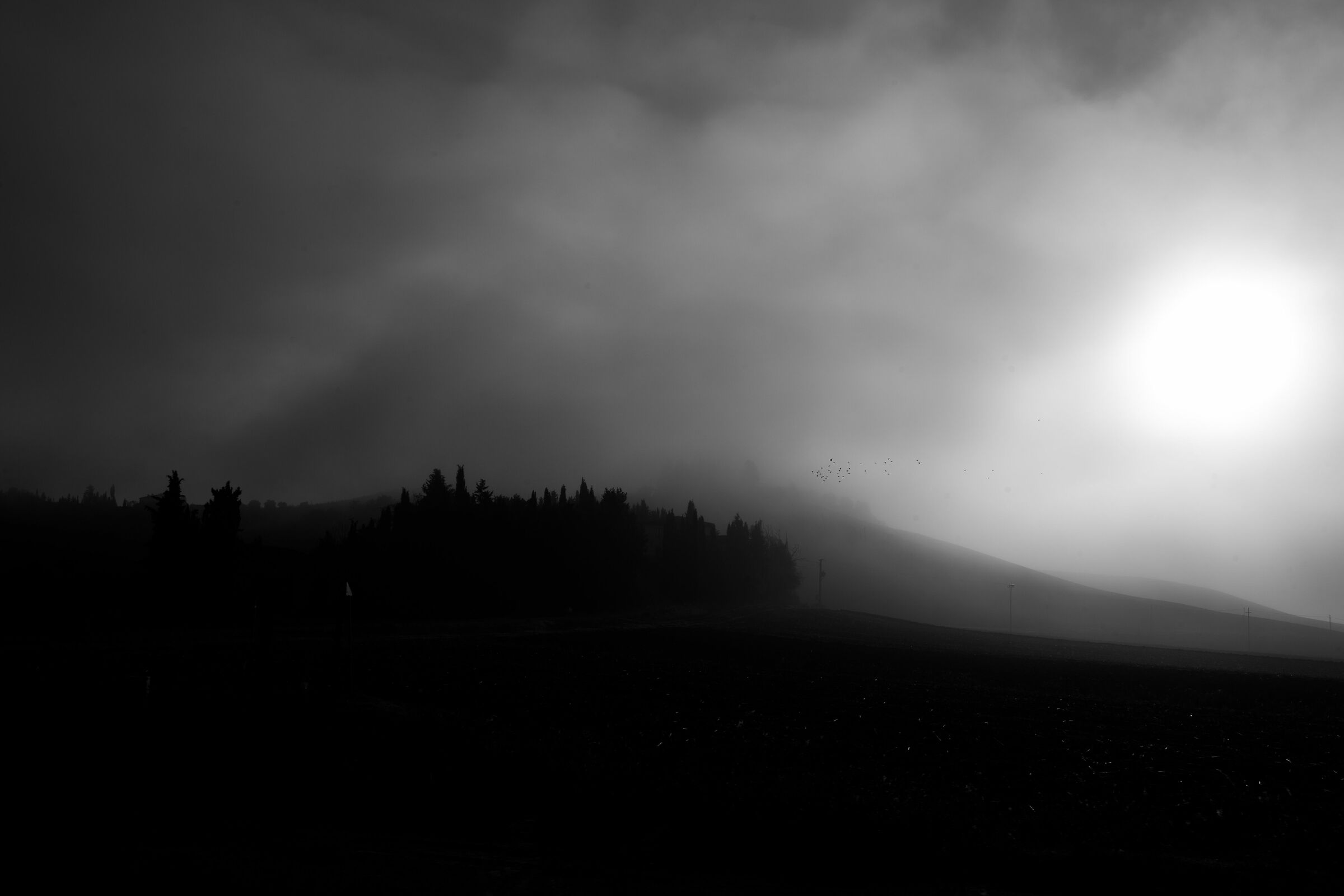 nebbia1
