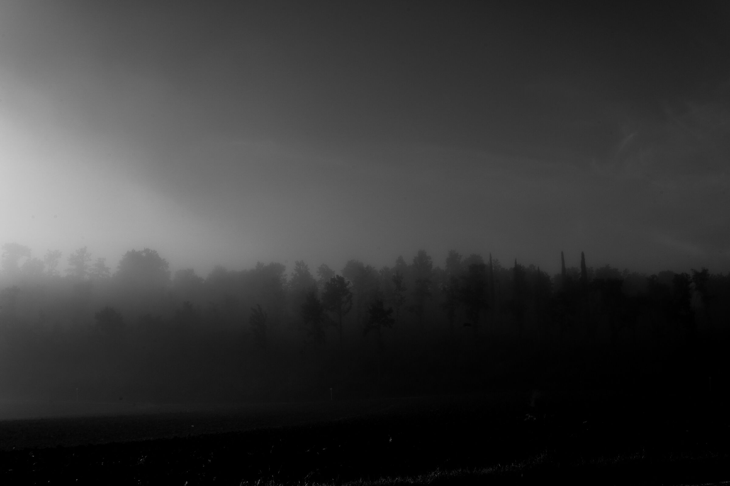 nebbia2