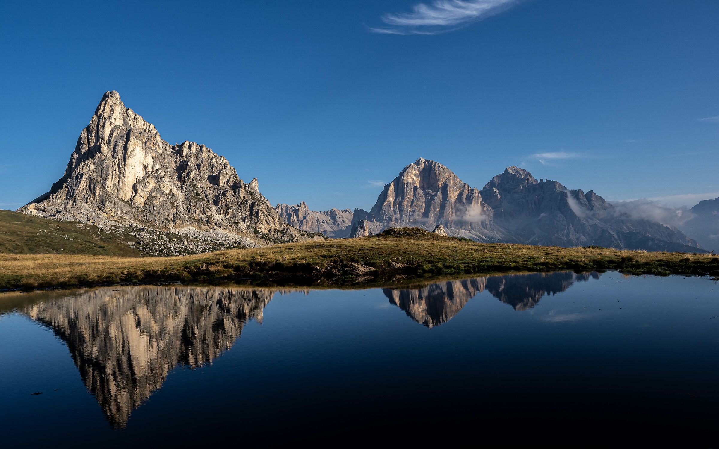 cosa vuoi pi più...