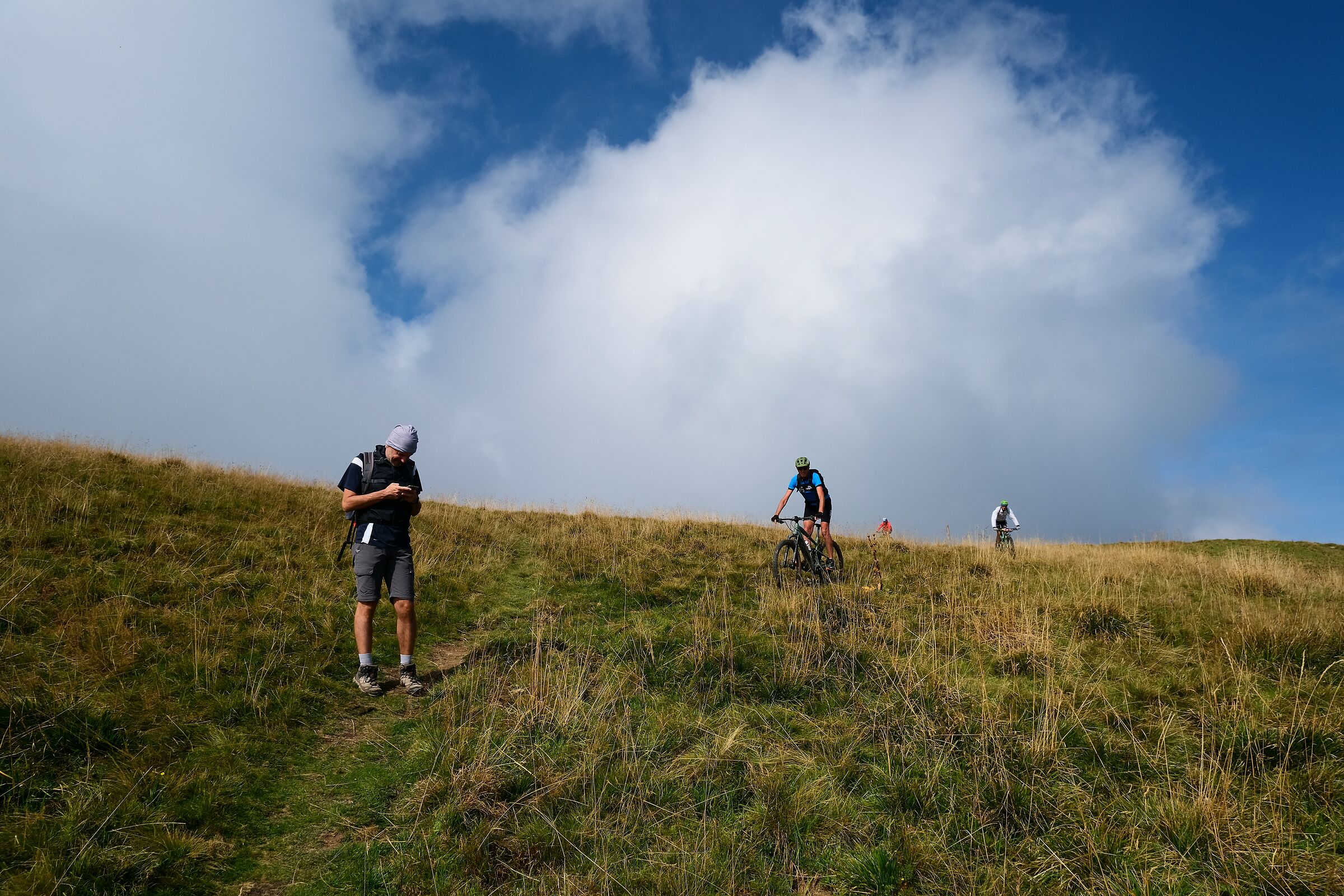 I lost the trail... or the signal?