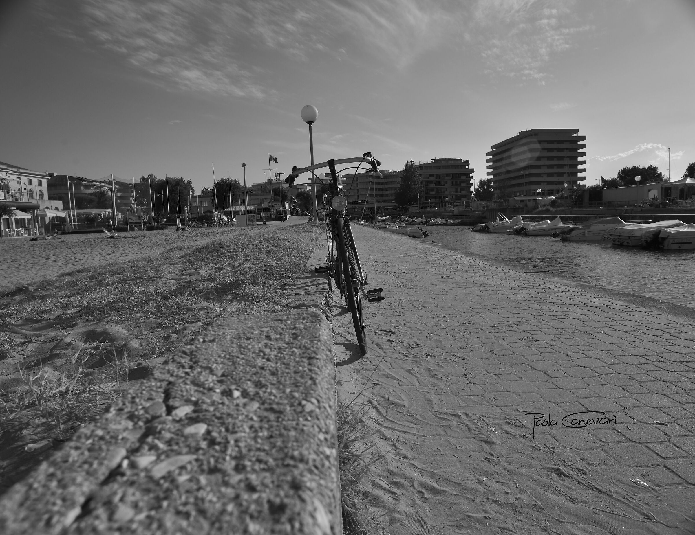 Untitled Photo