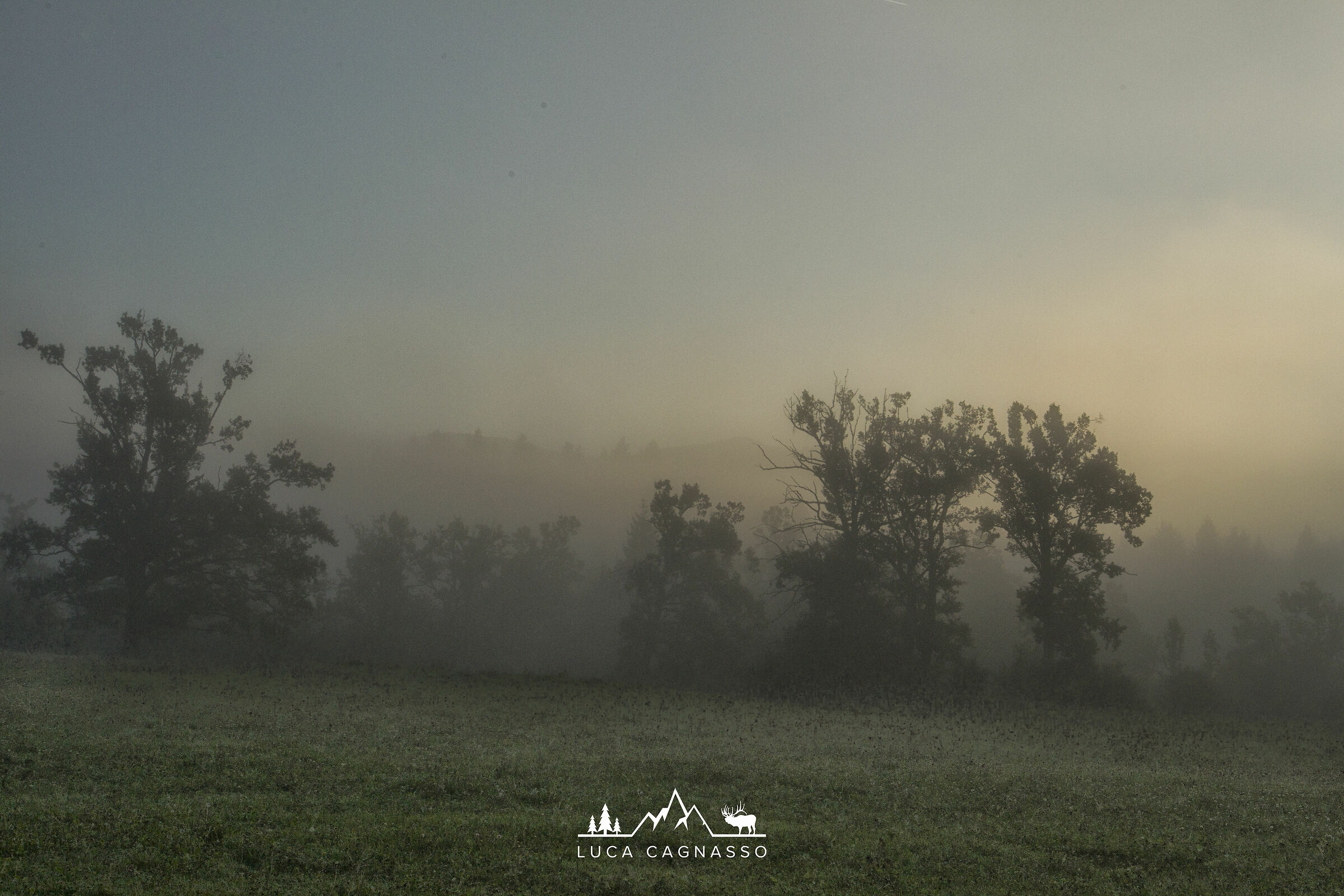 First fog