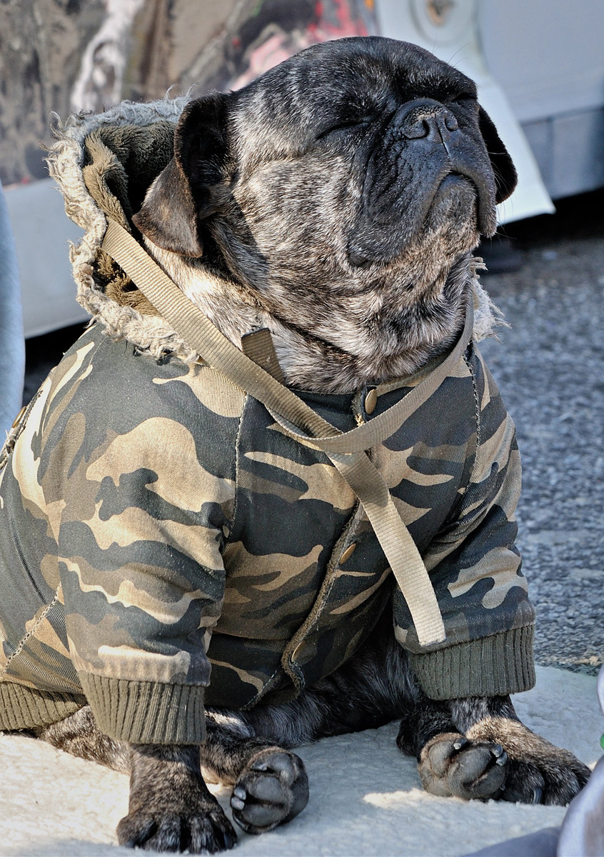 Il riposo del guerriero