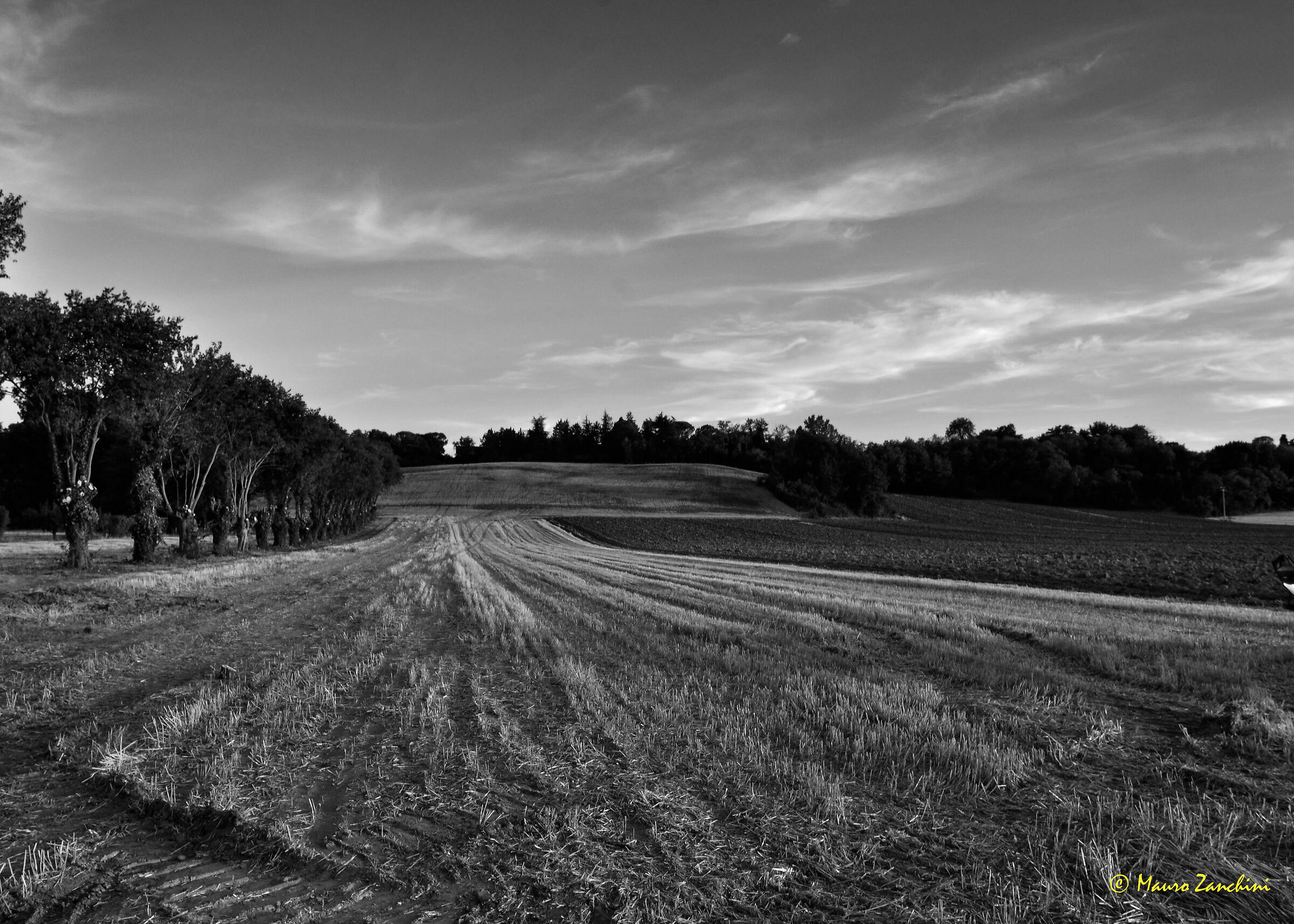 Untitled Photo
