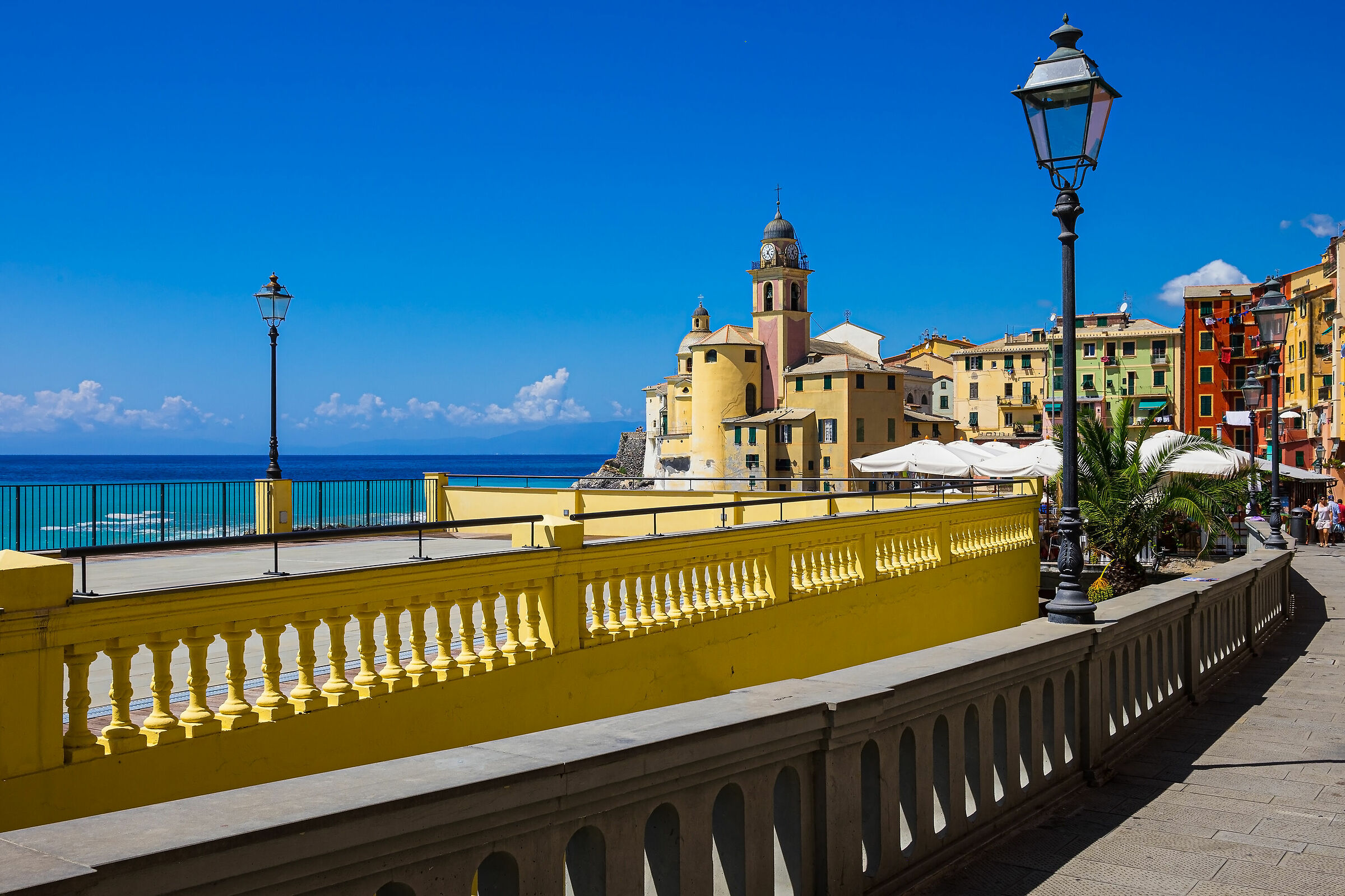 We Are Living in a Yellow...