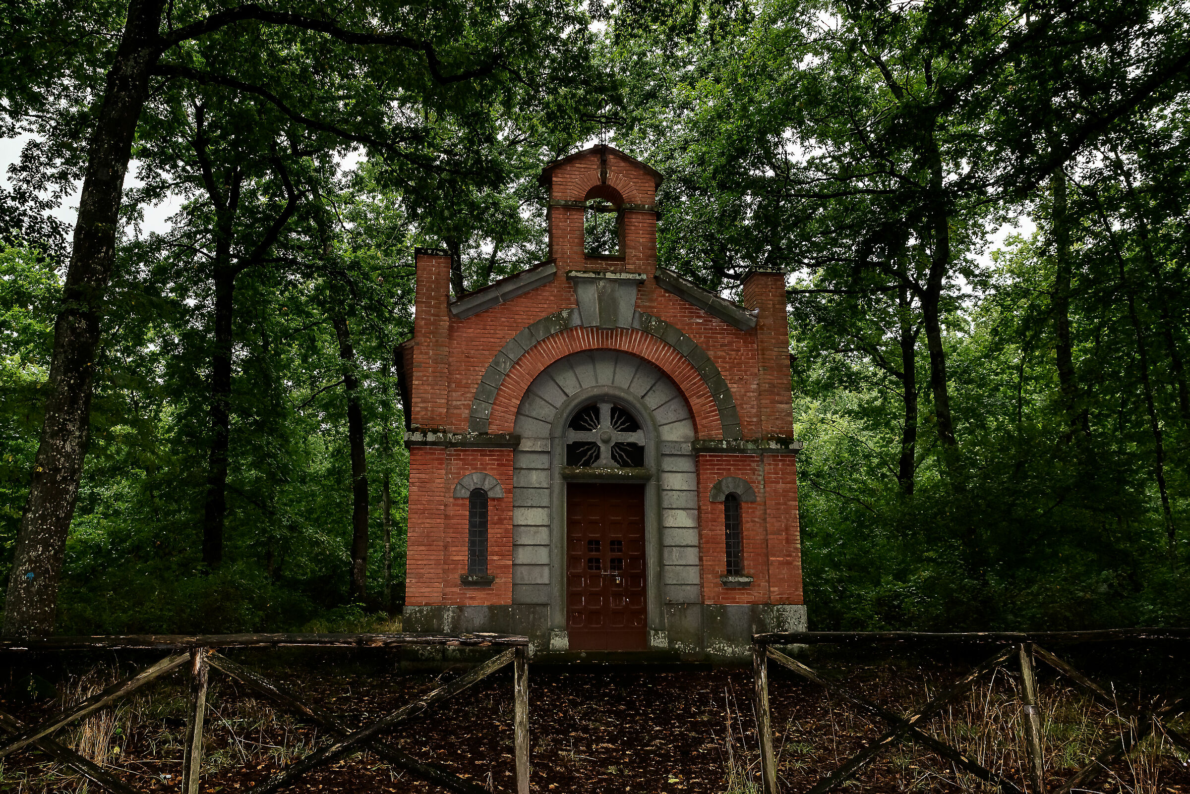 sp6 da bagnoregio a viterbo