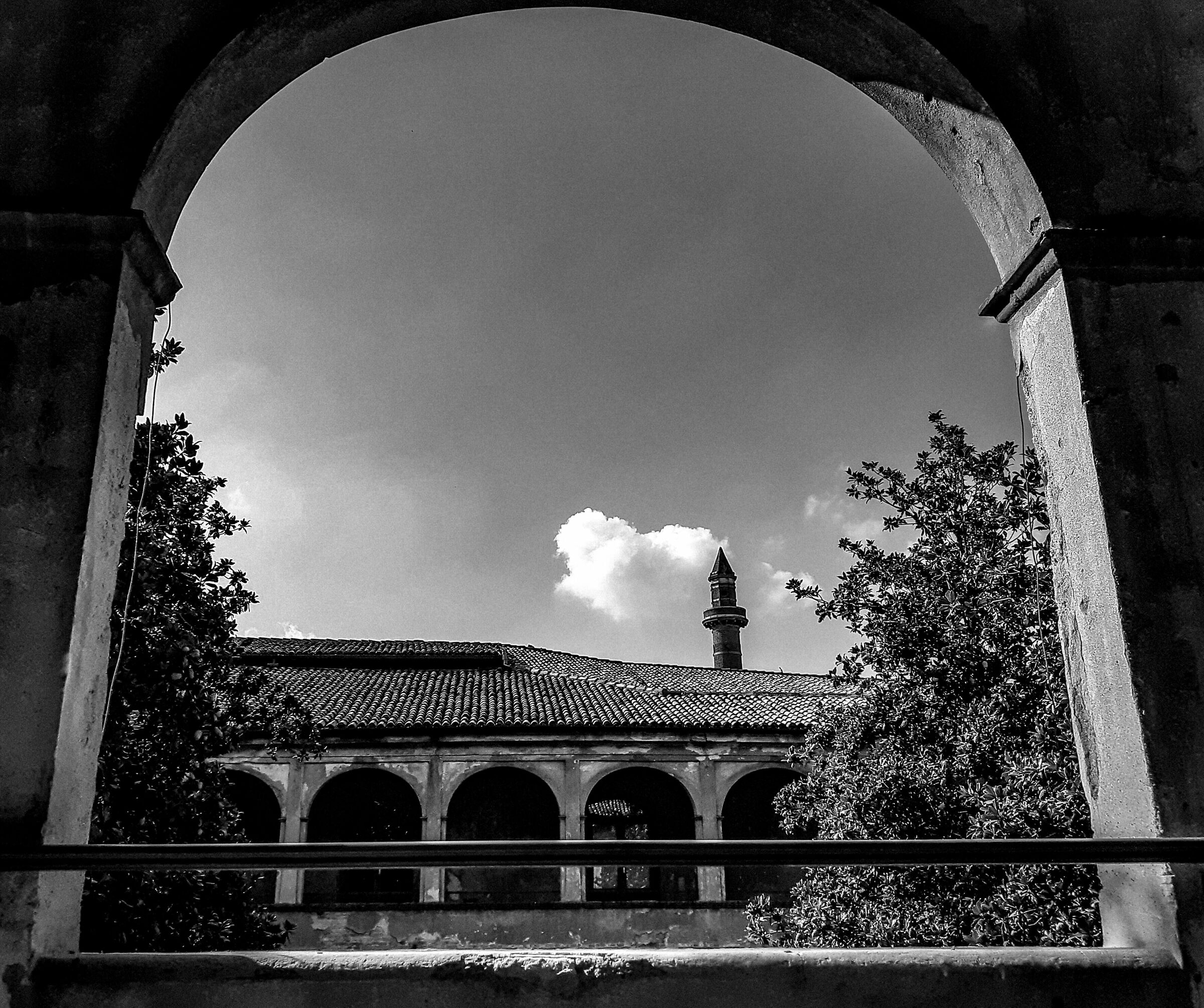 Dalla Facoltà di Filosofia, Pavia