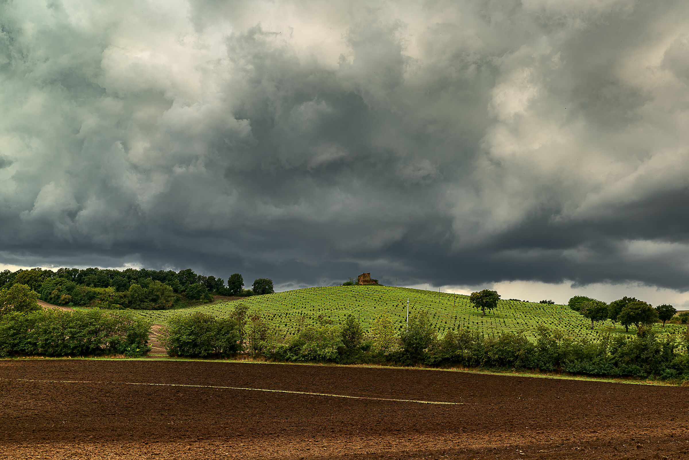 paesaggio della tuscia