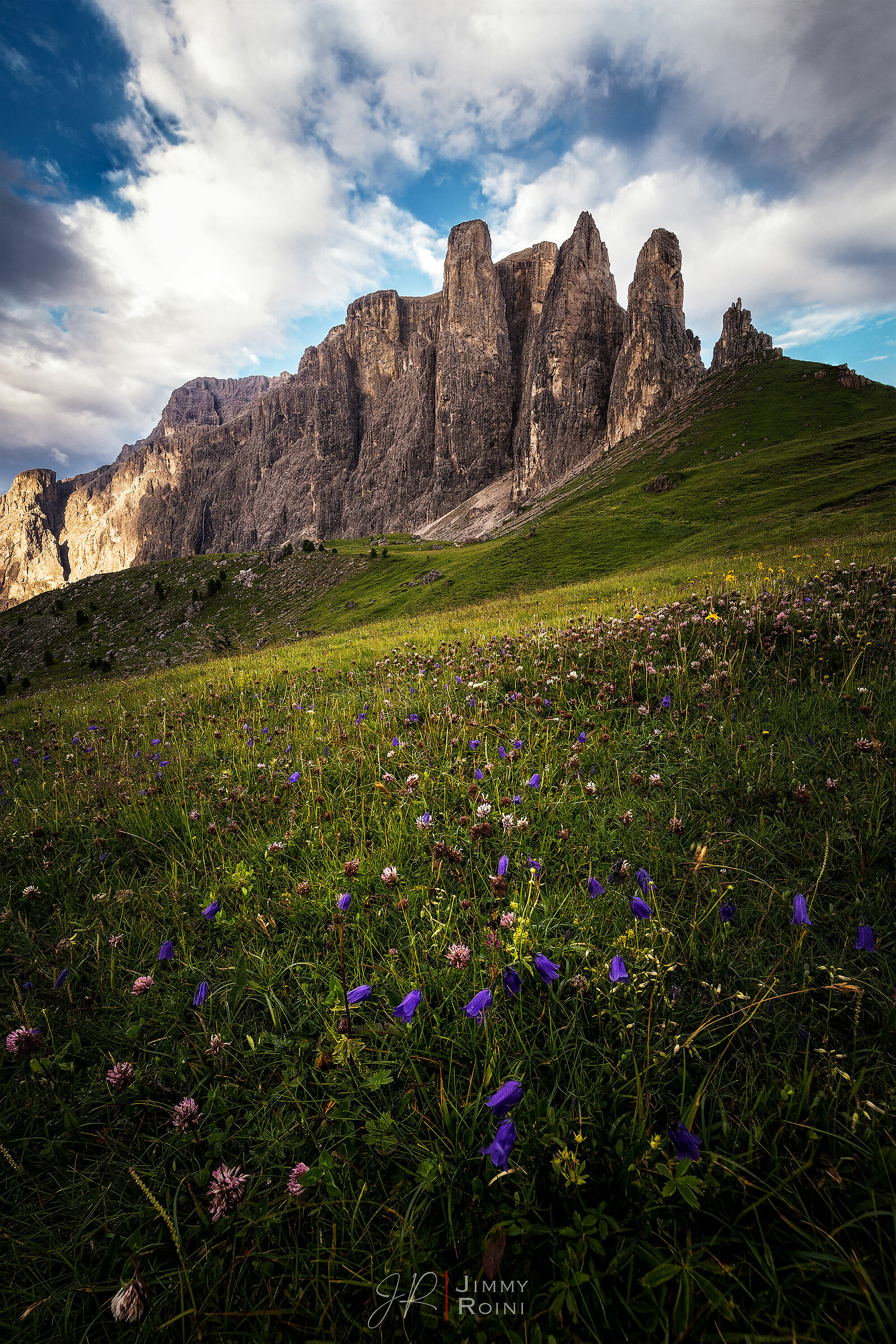 I monti sono maestri muti e fanno discepoli silenziosi