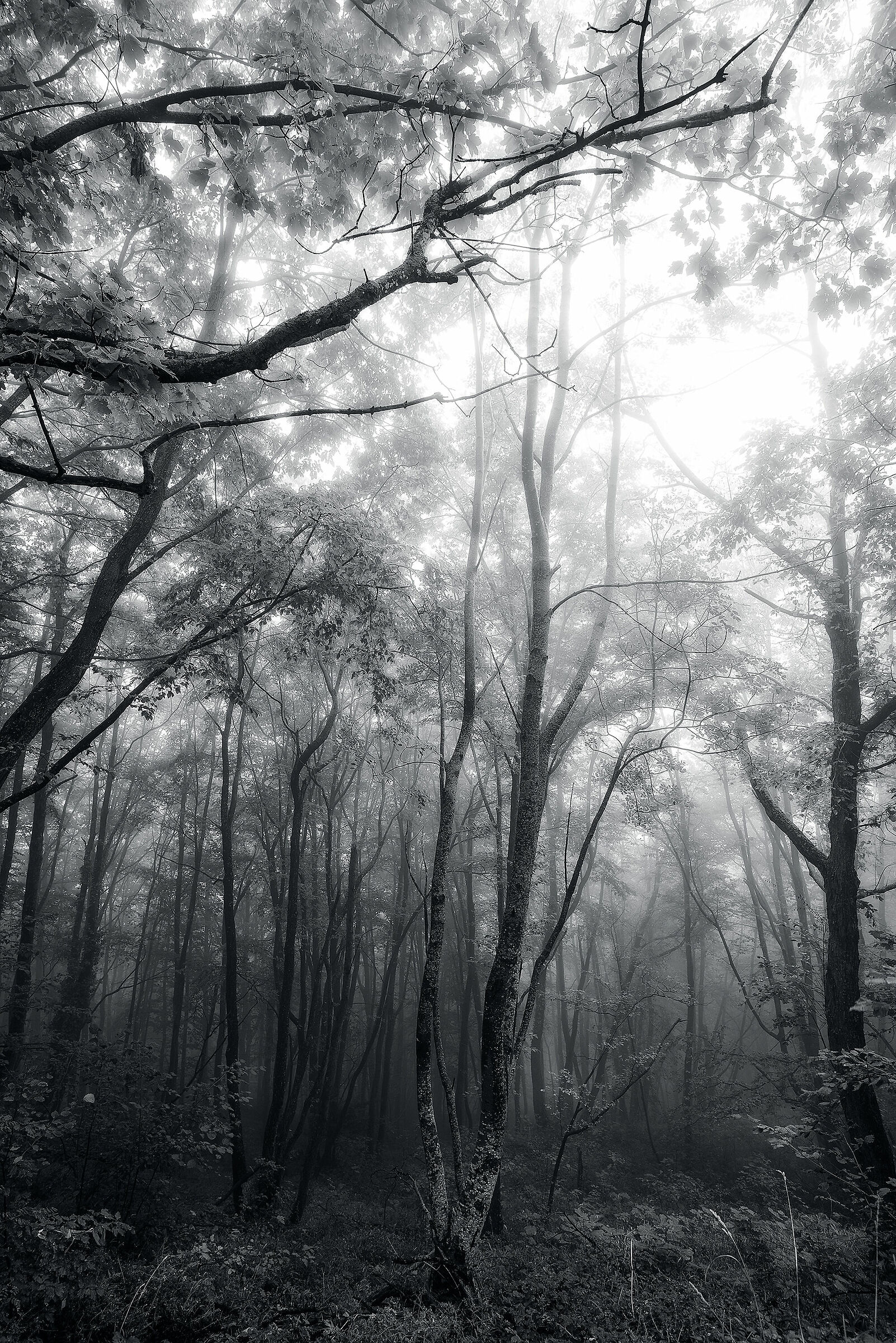 That's How the Sunlight Gets In