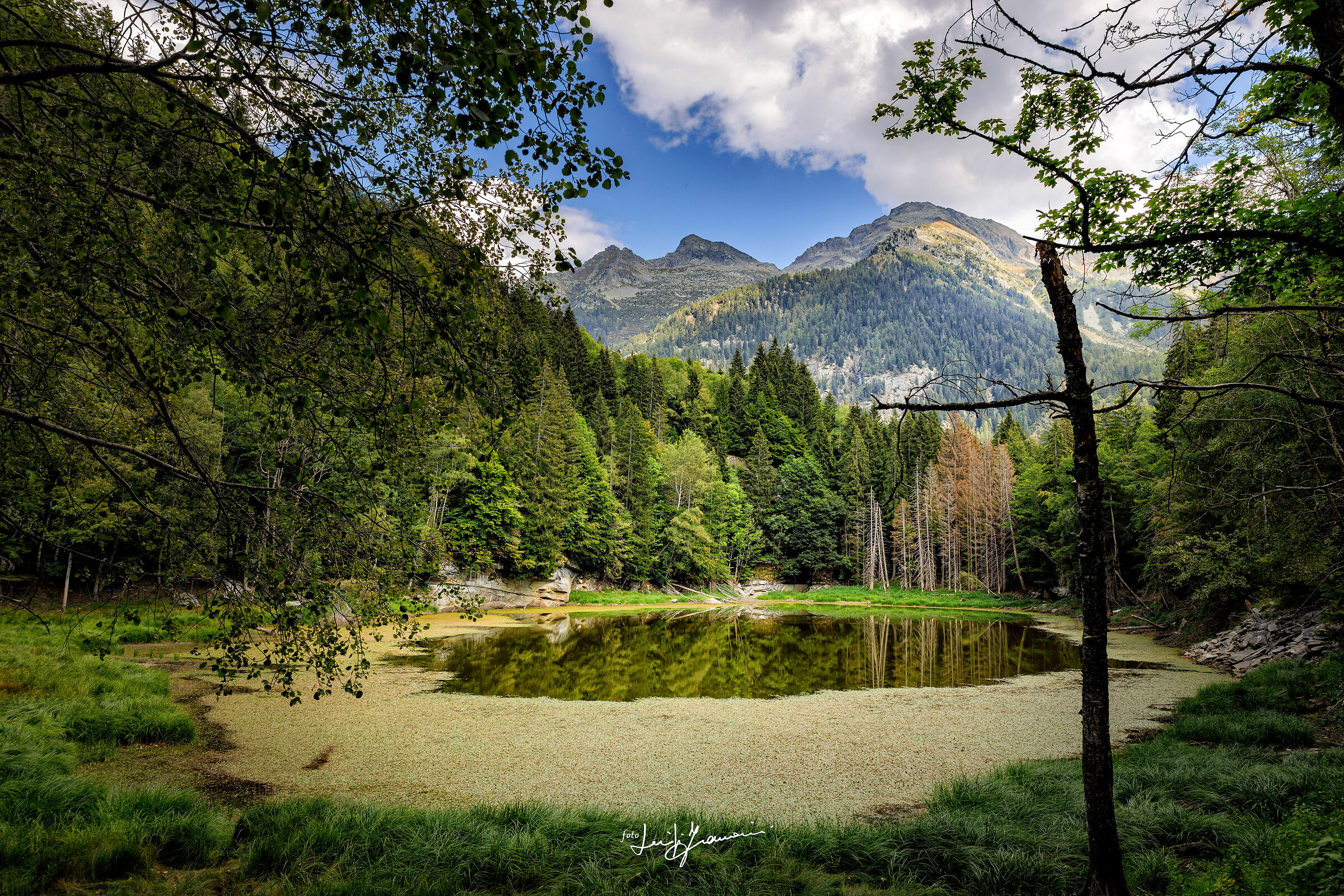 First autumn notices at Lake Antillone