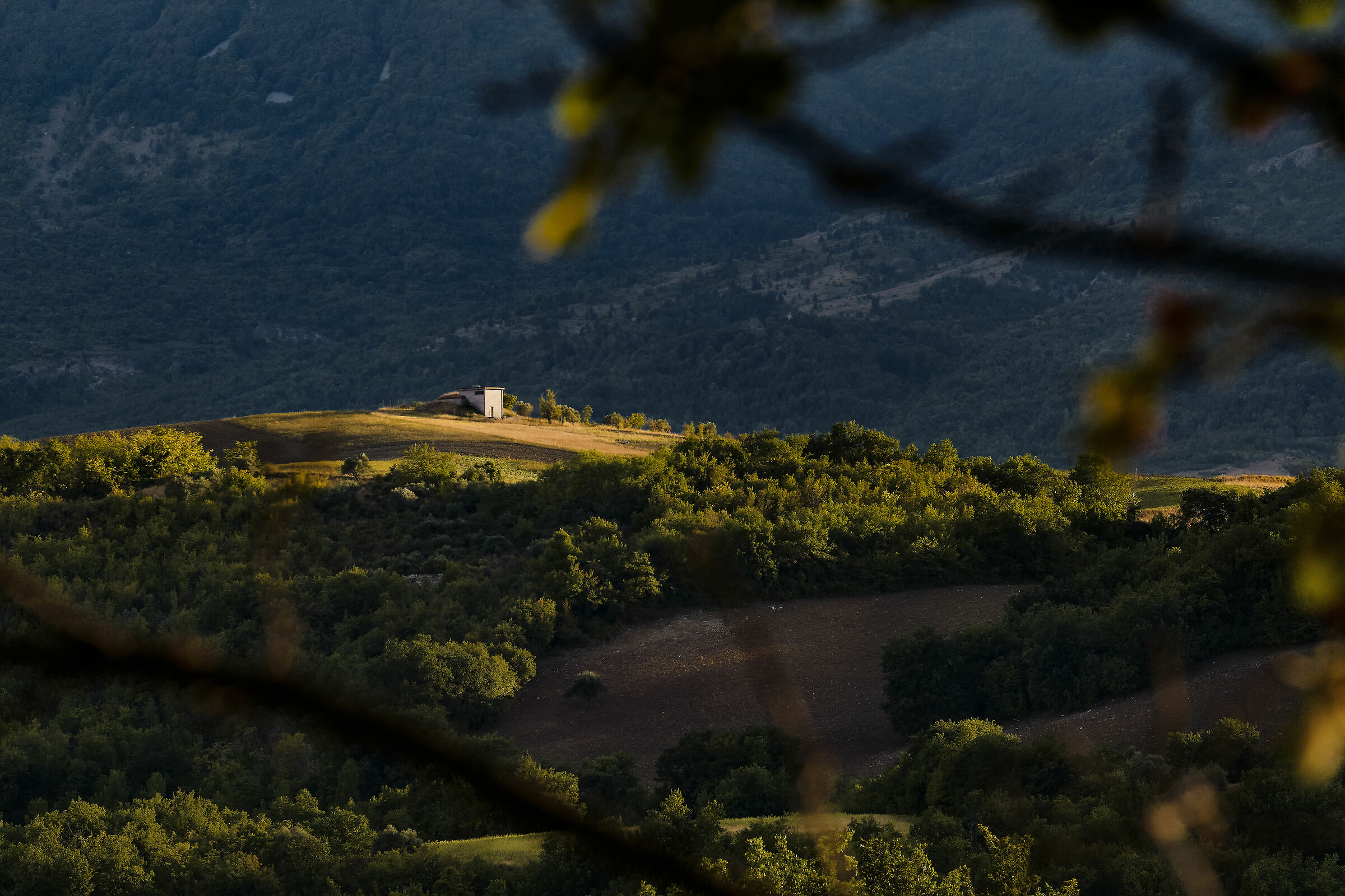 Illuminated Hill