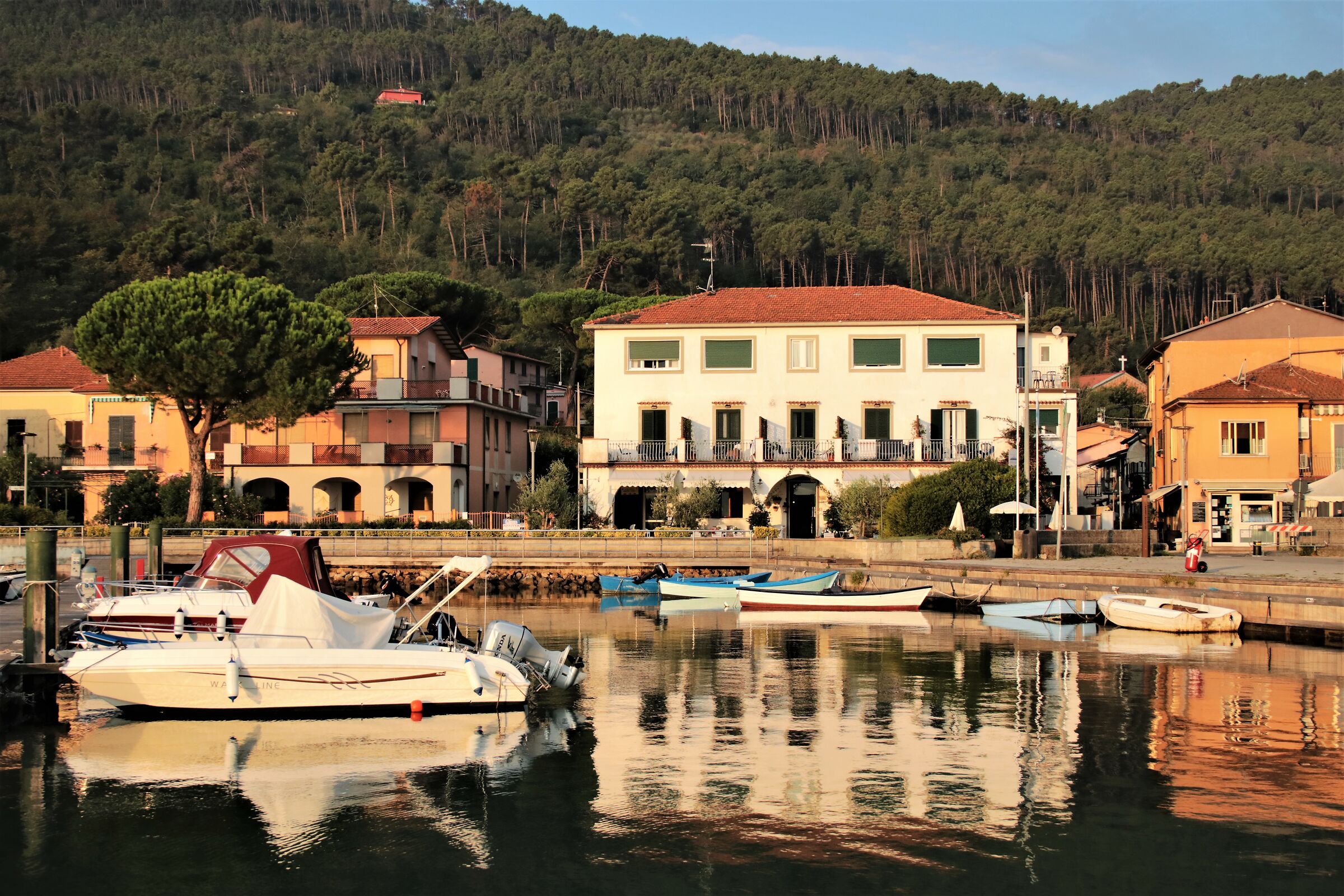 " Riflessi mattutini"