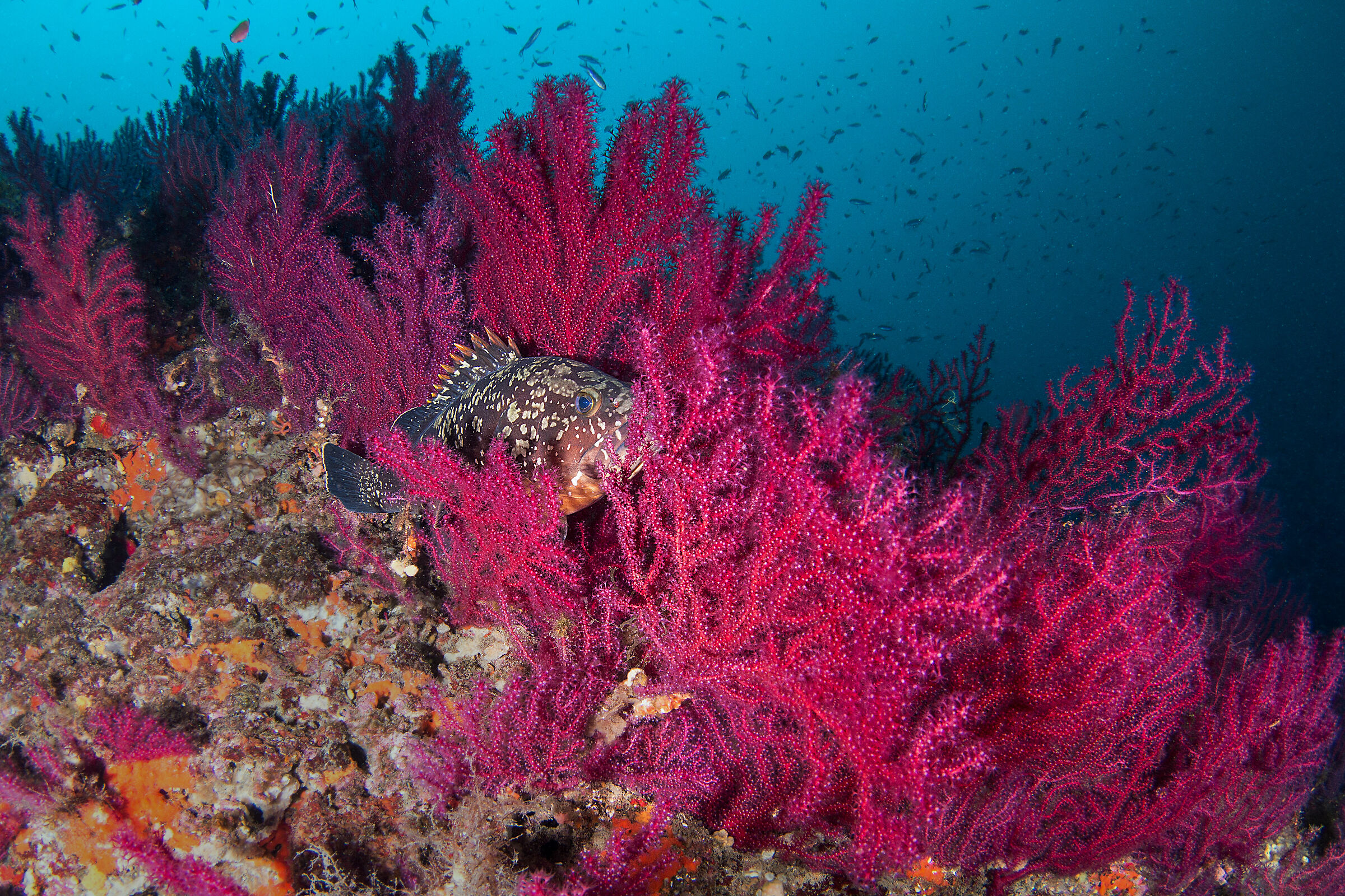 Giocando a nascondino