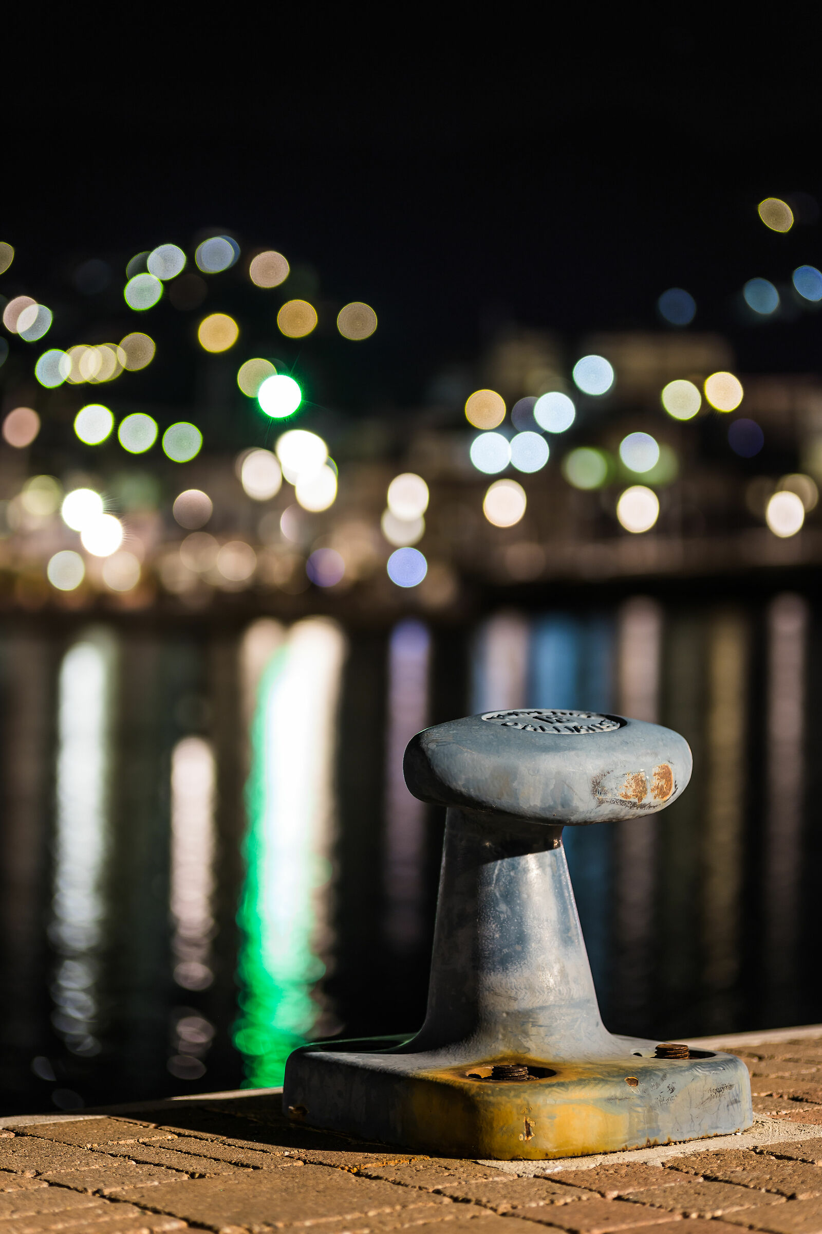 Bitta at the port of Varazze