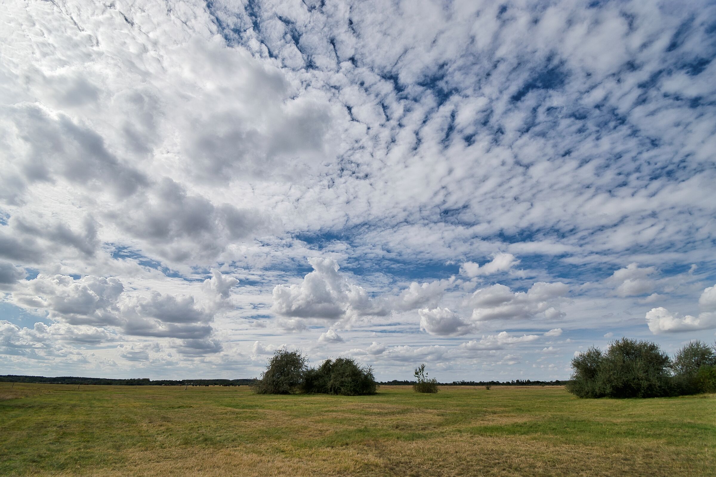 Above the Great Plain