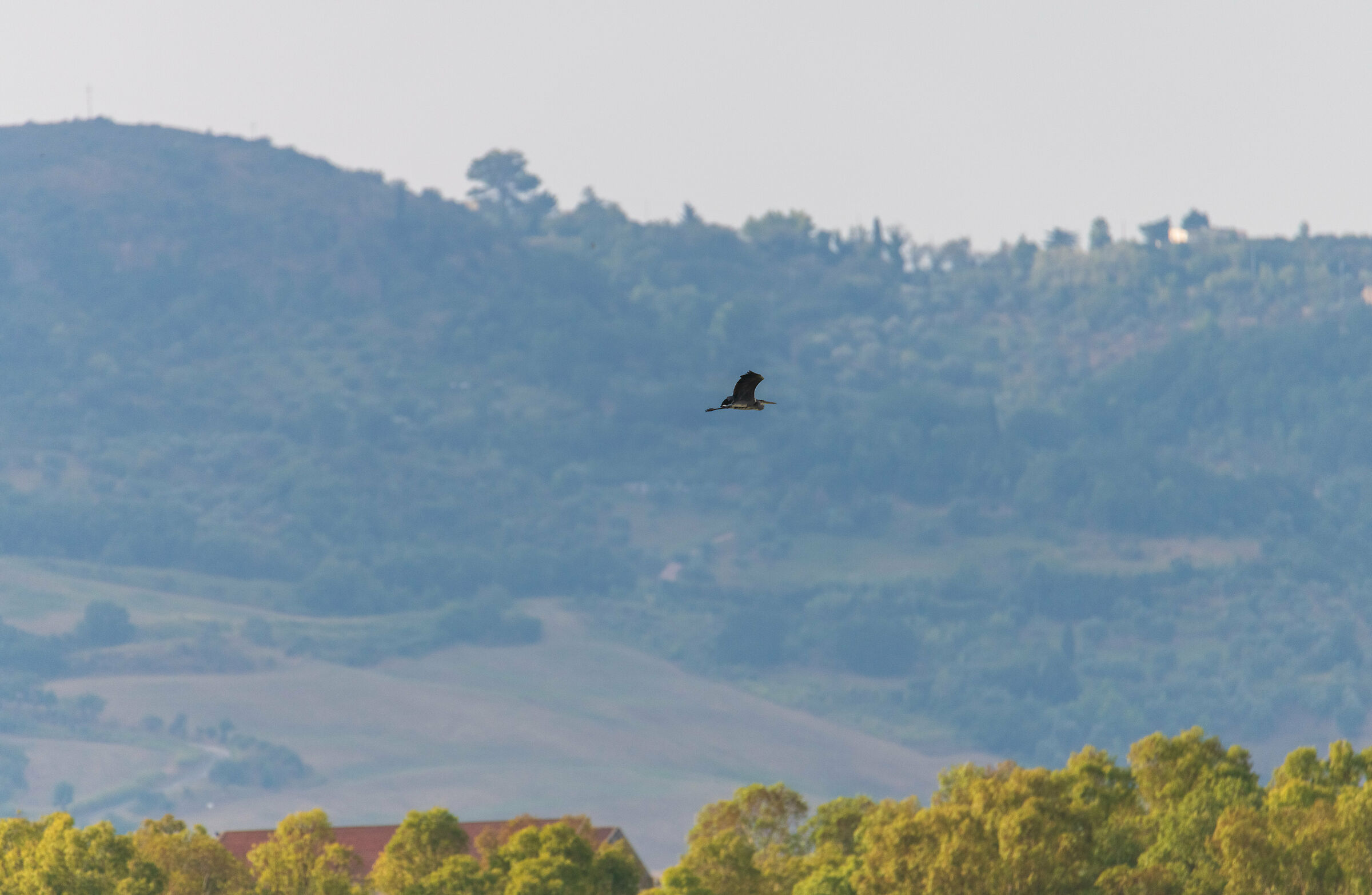 Oasis of San Giuliano