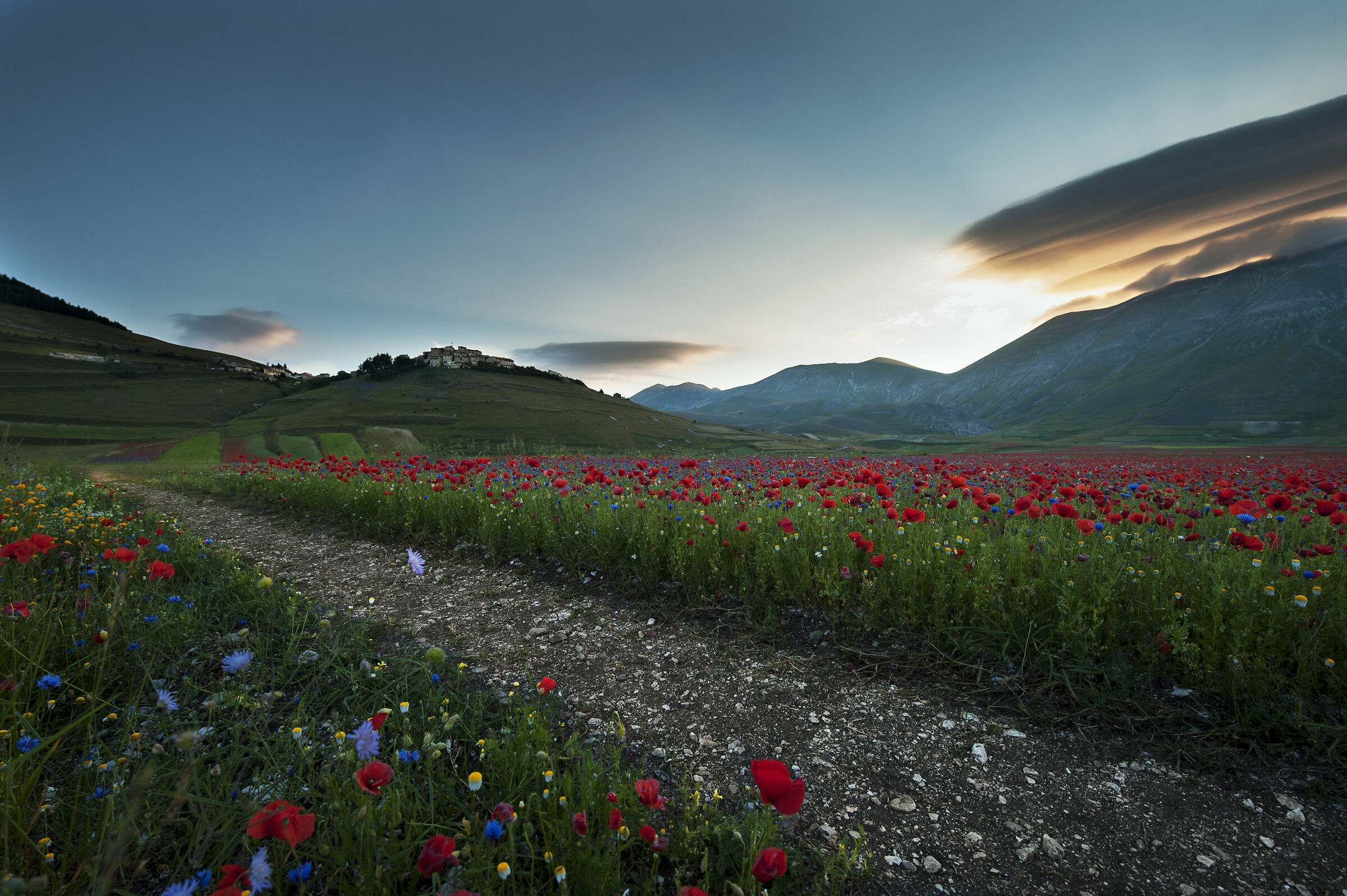 mattino a castelluccio