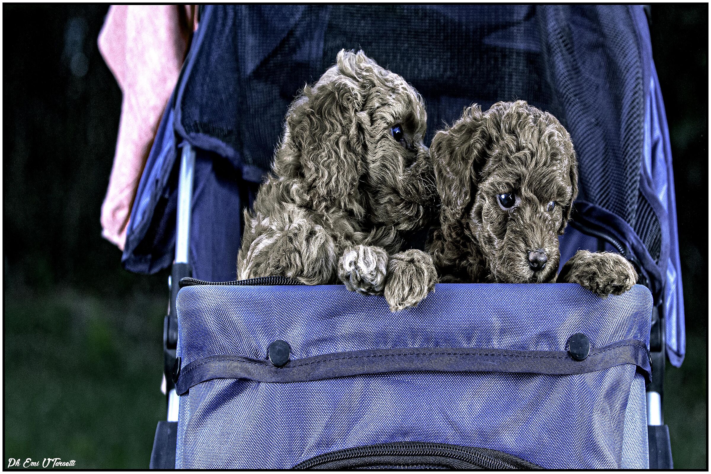 Did you see that.....??