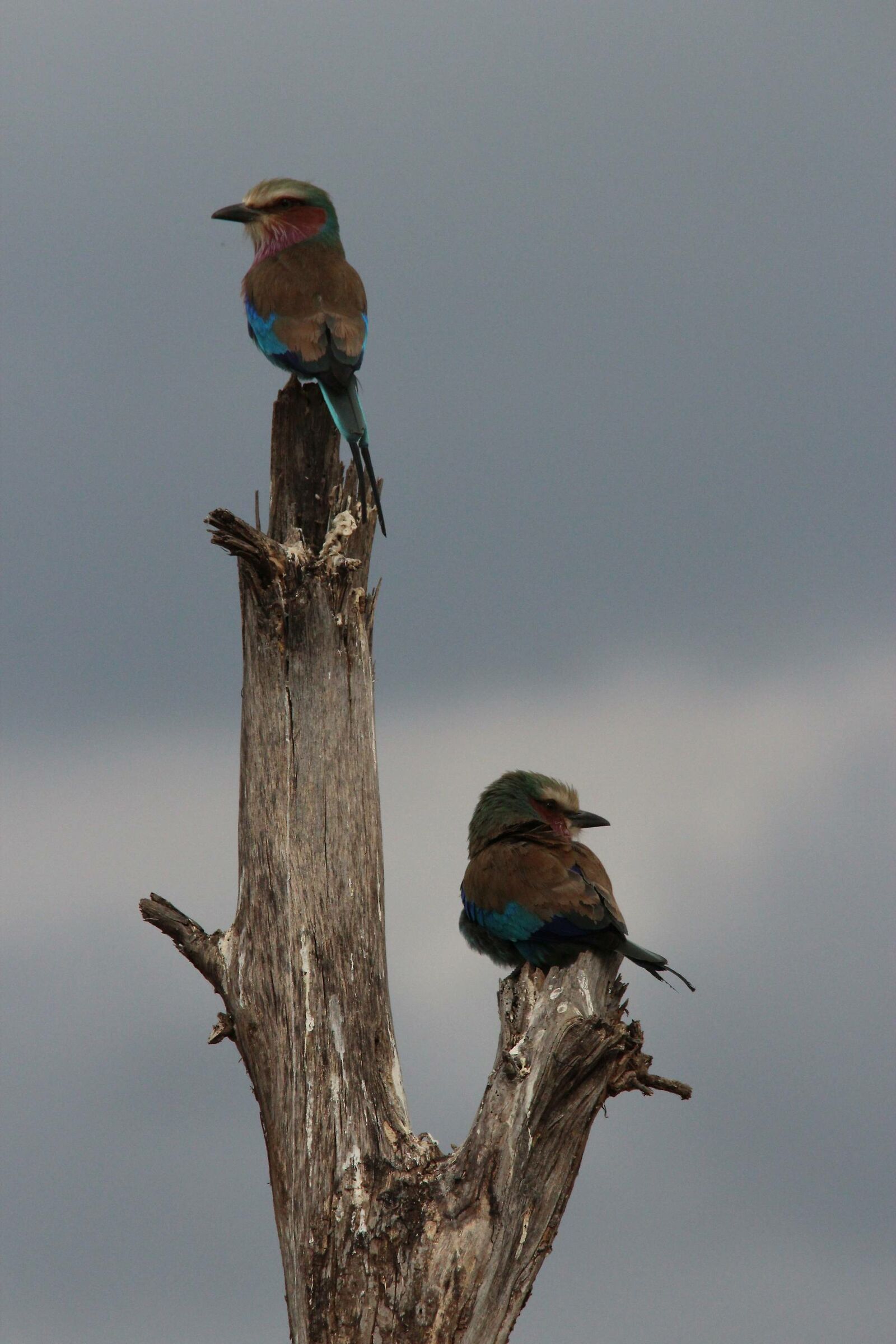 I left ... you right