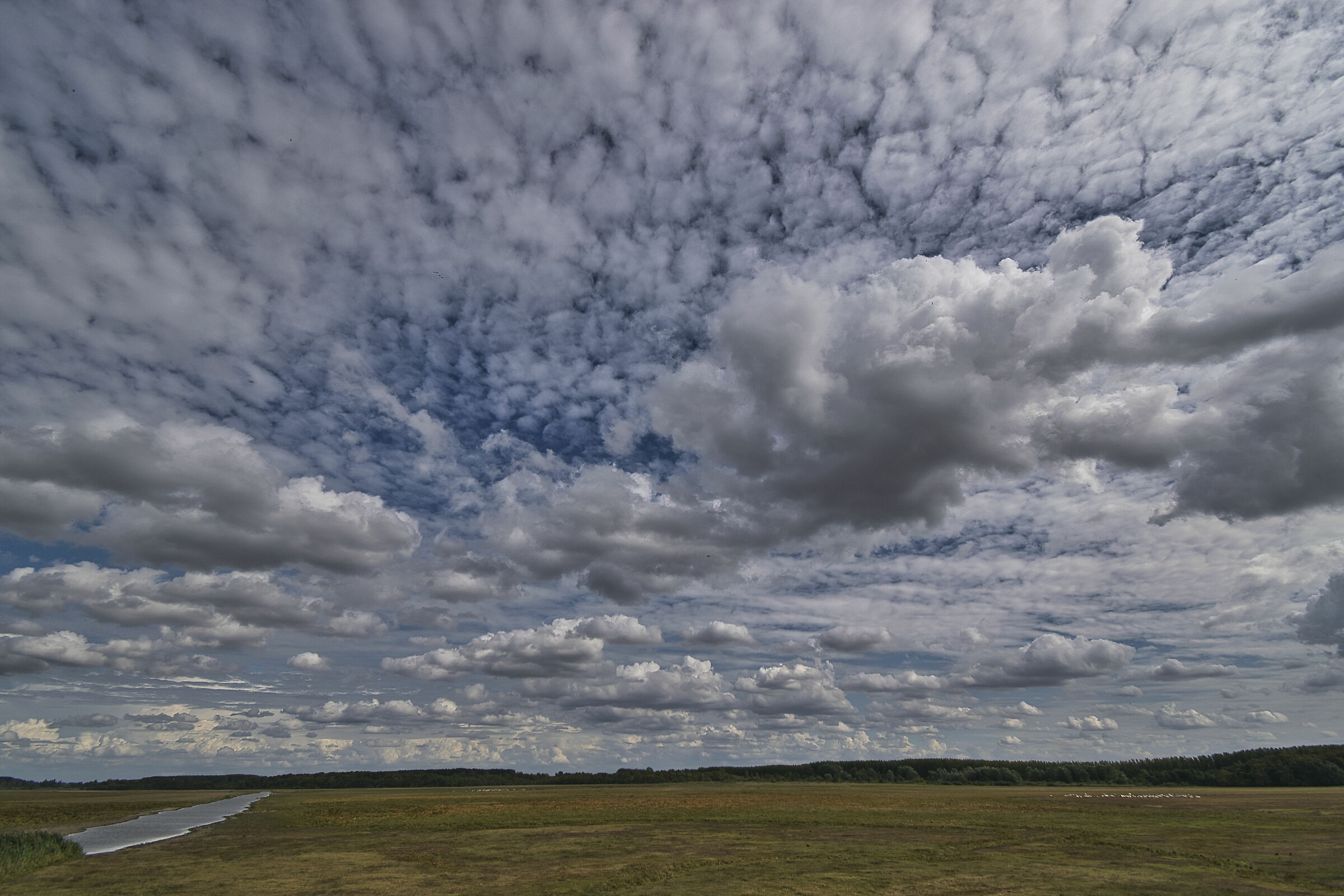 ..... and beyond that is the Wide World .......