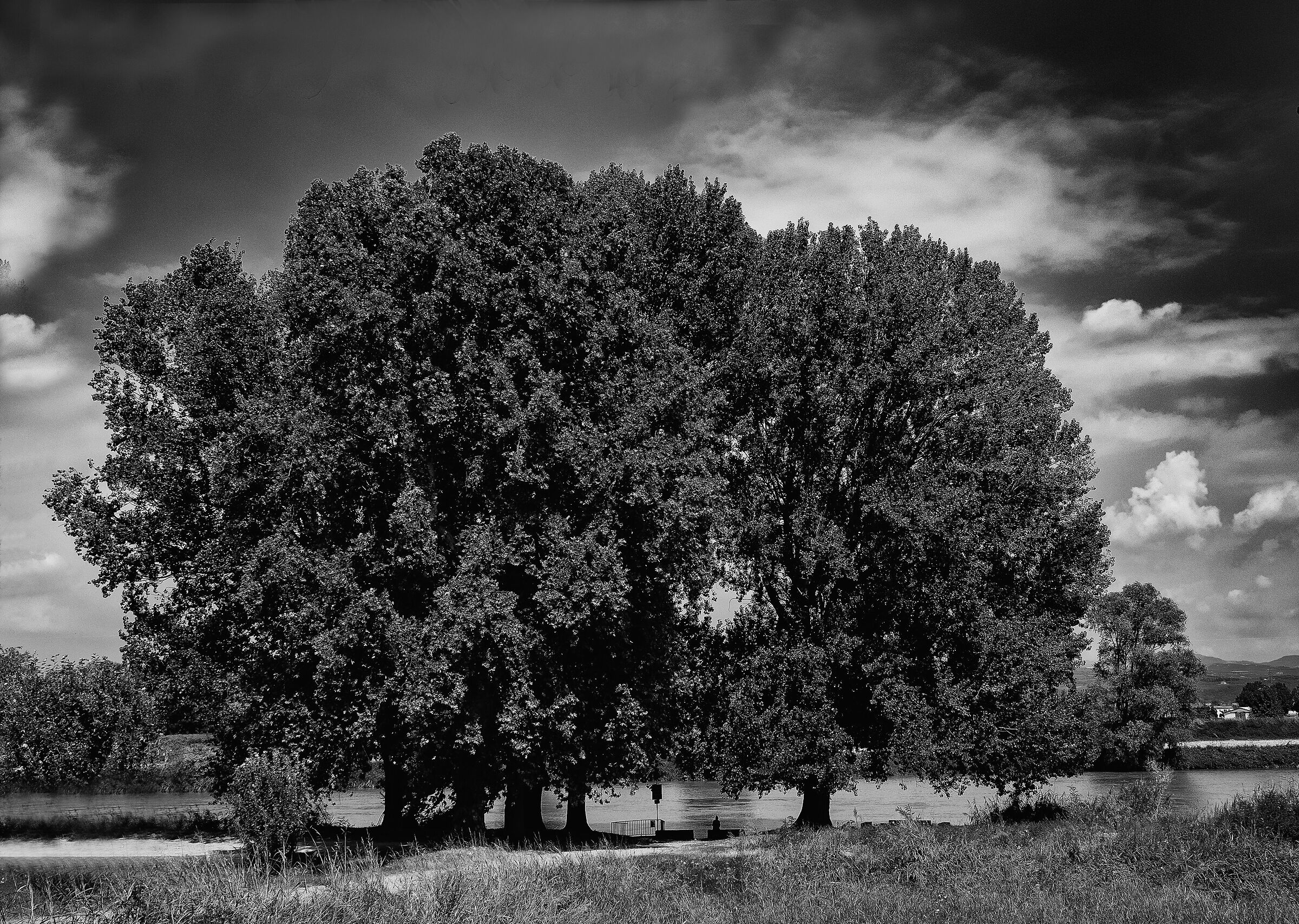 I giganti sull'Adige