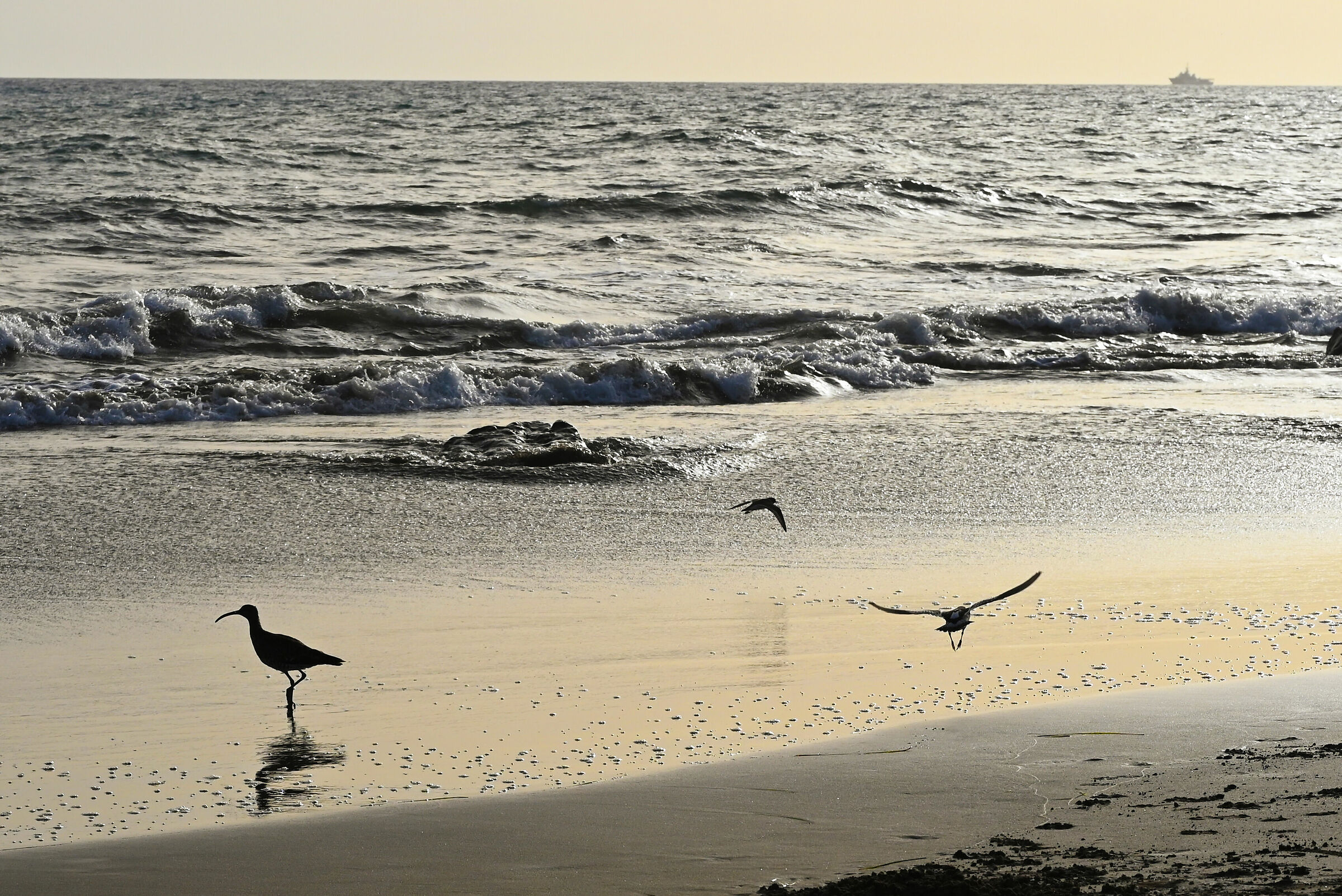 Prima del tramonto - 2