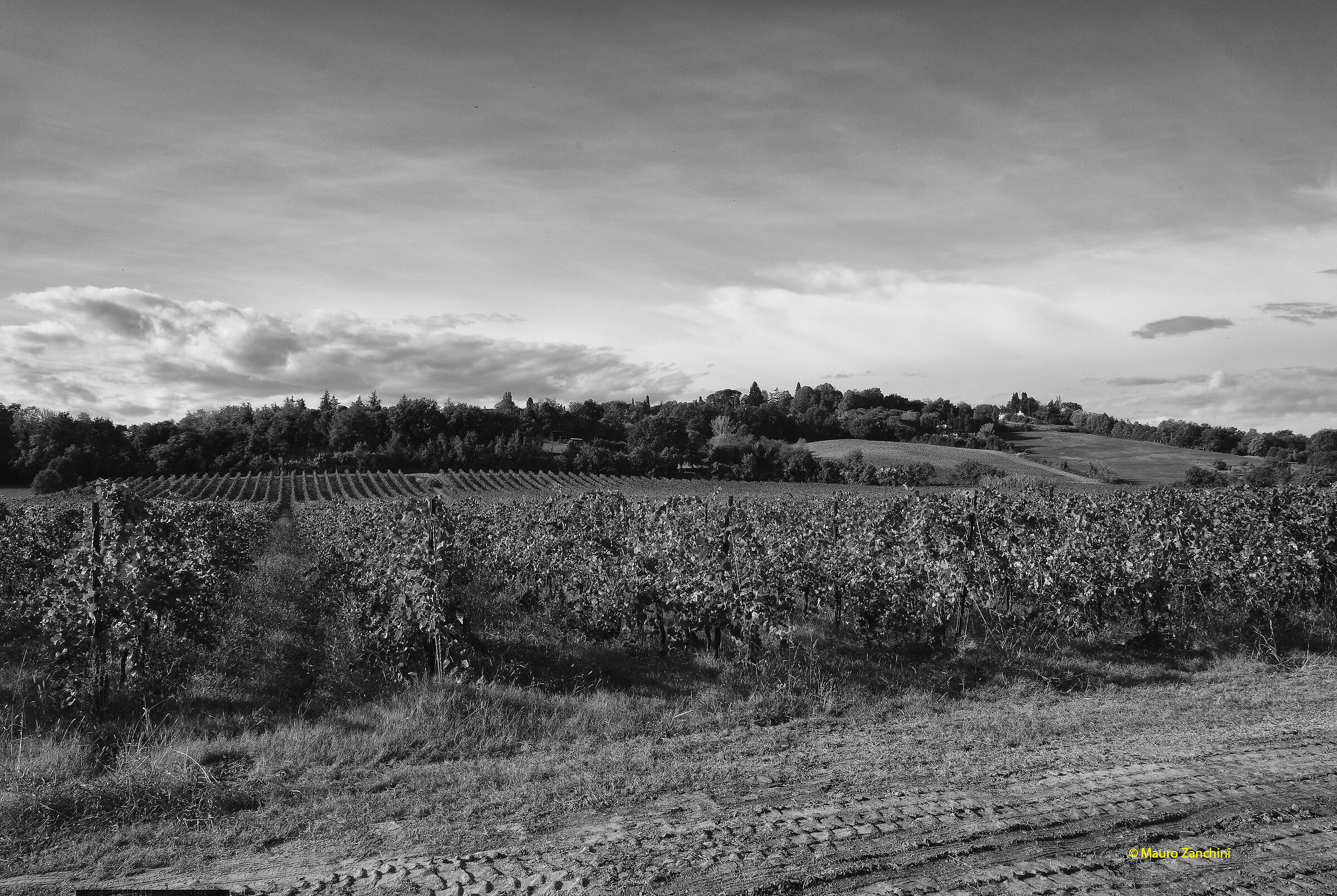 landscape agreste