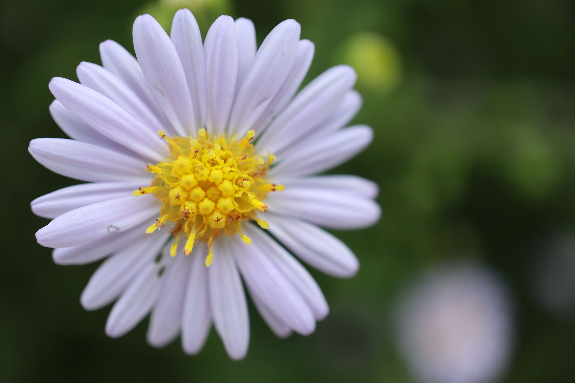 Untitled Photo