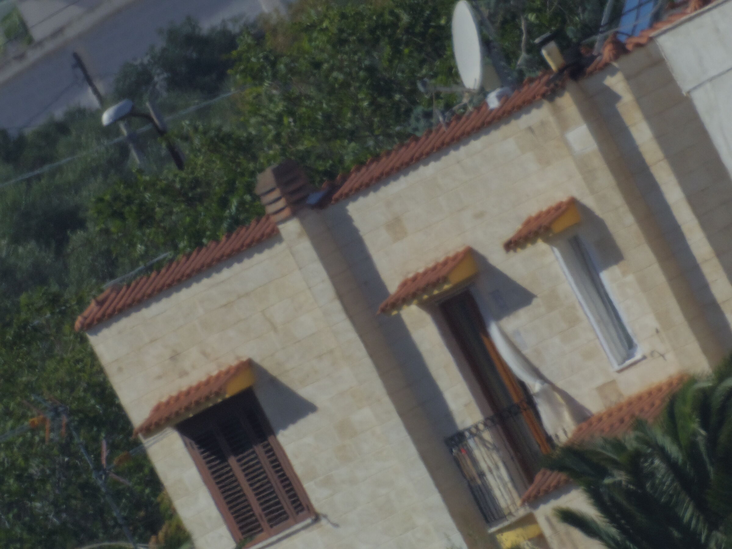 MTO 1000a on Pentax Q7