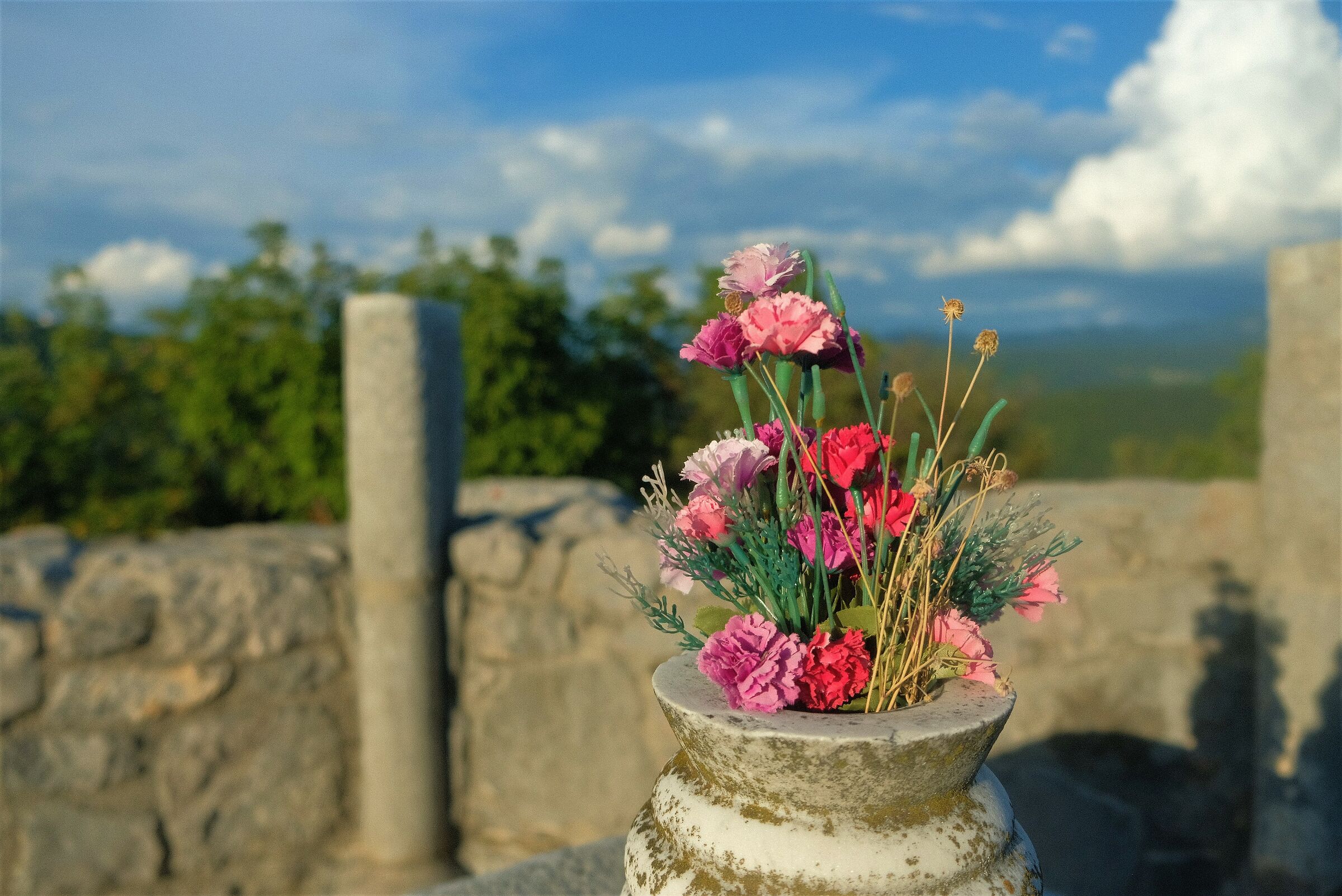 Fiori sul monte Sabotino