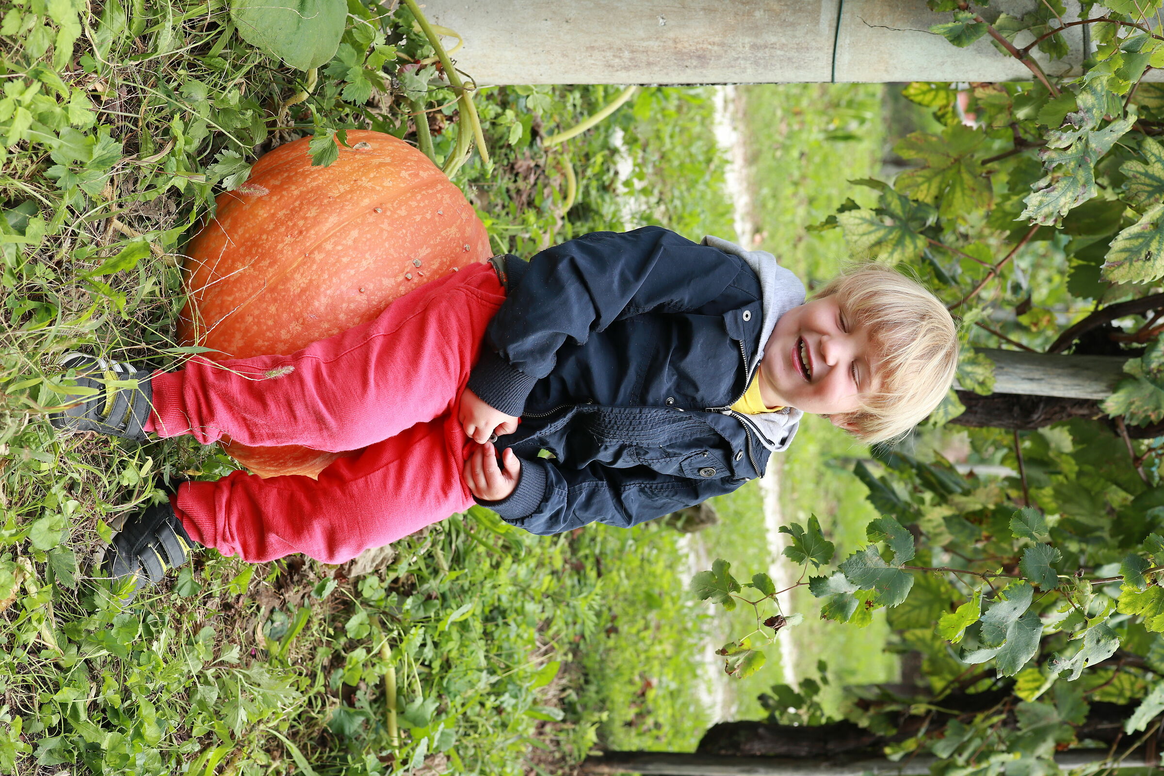 La zucca della nonna