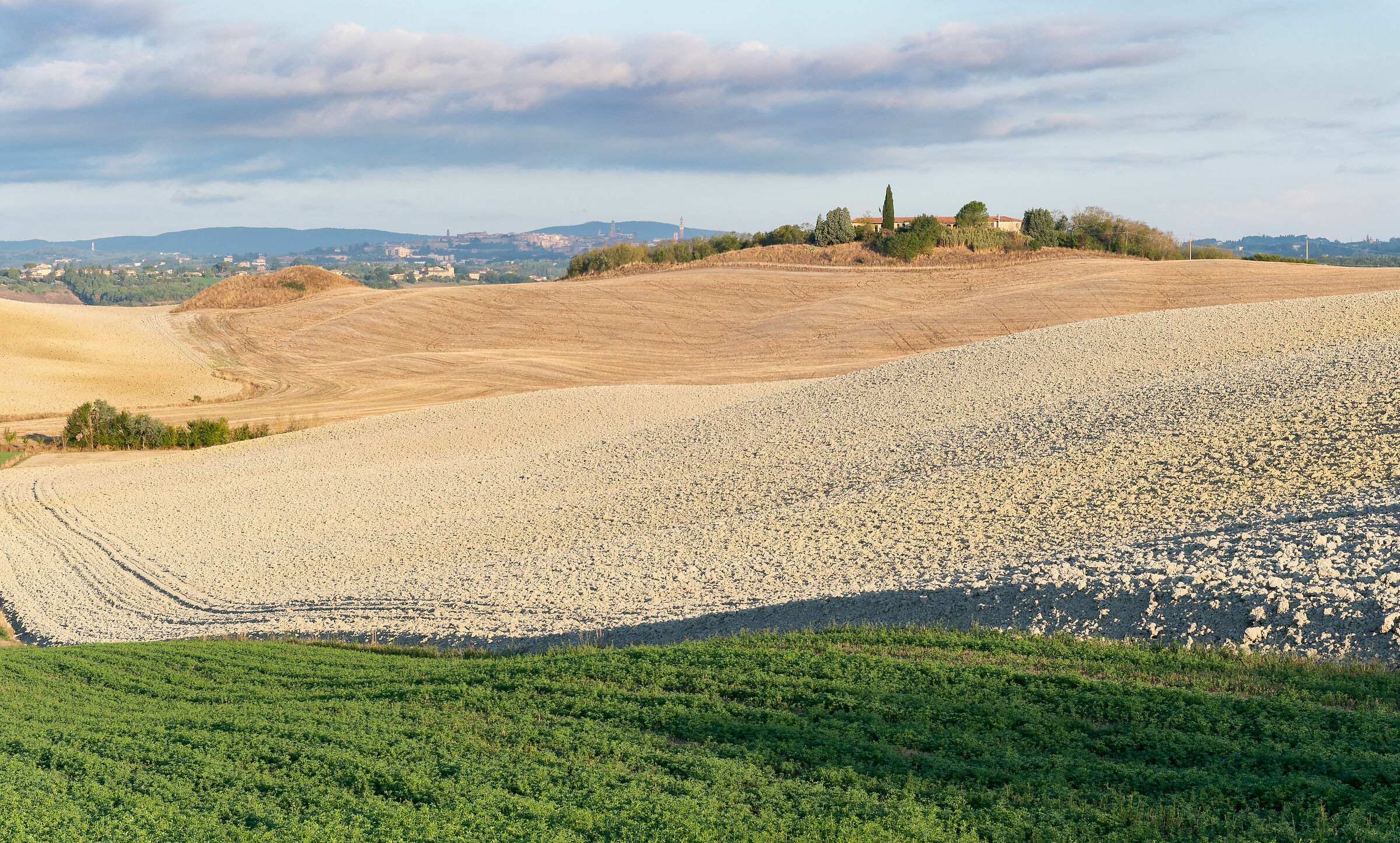 alba su crete senesi