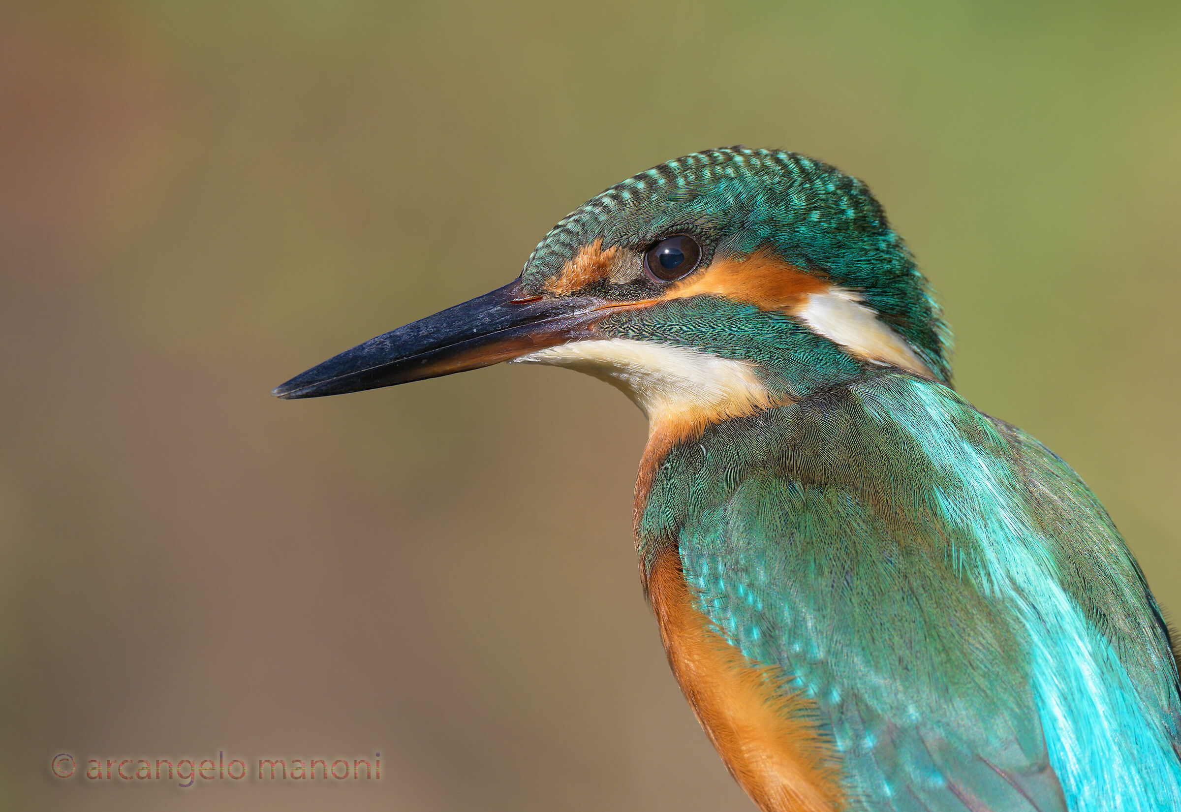 Phototessera with the martina