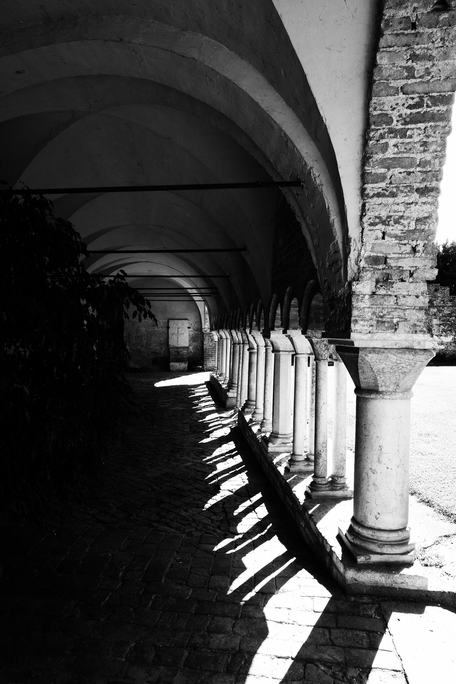 Abbazia di Carceri 5