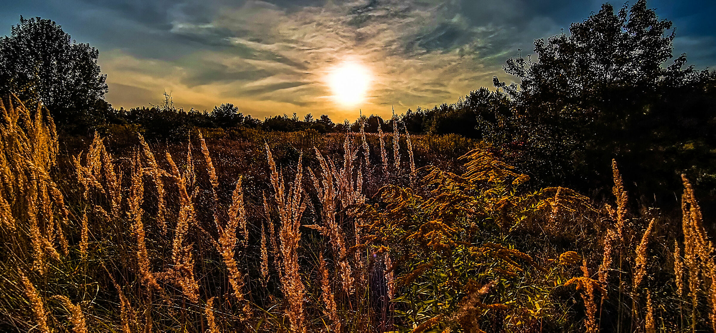 A revolution in paradise