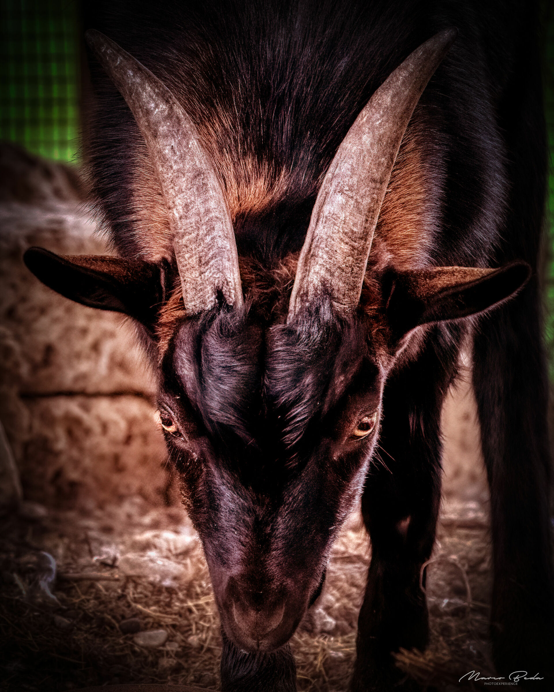Lucifer