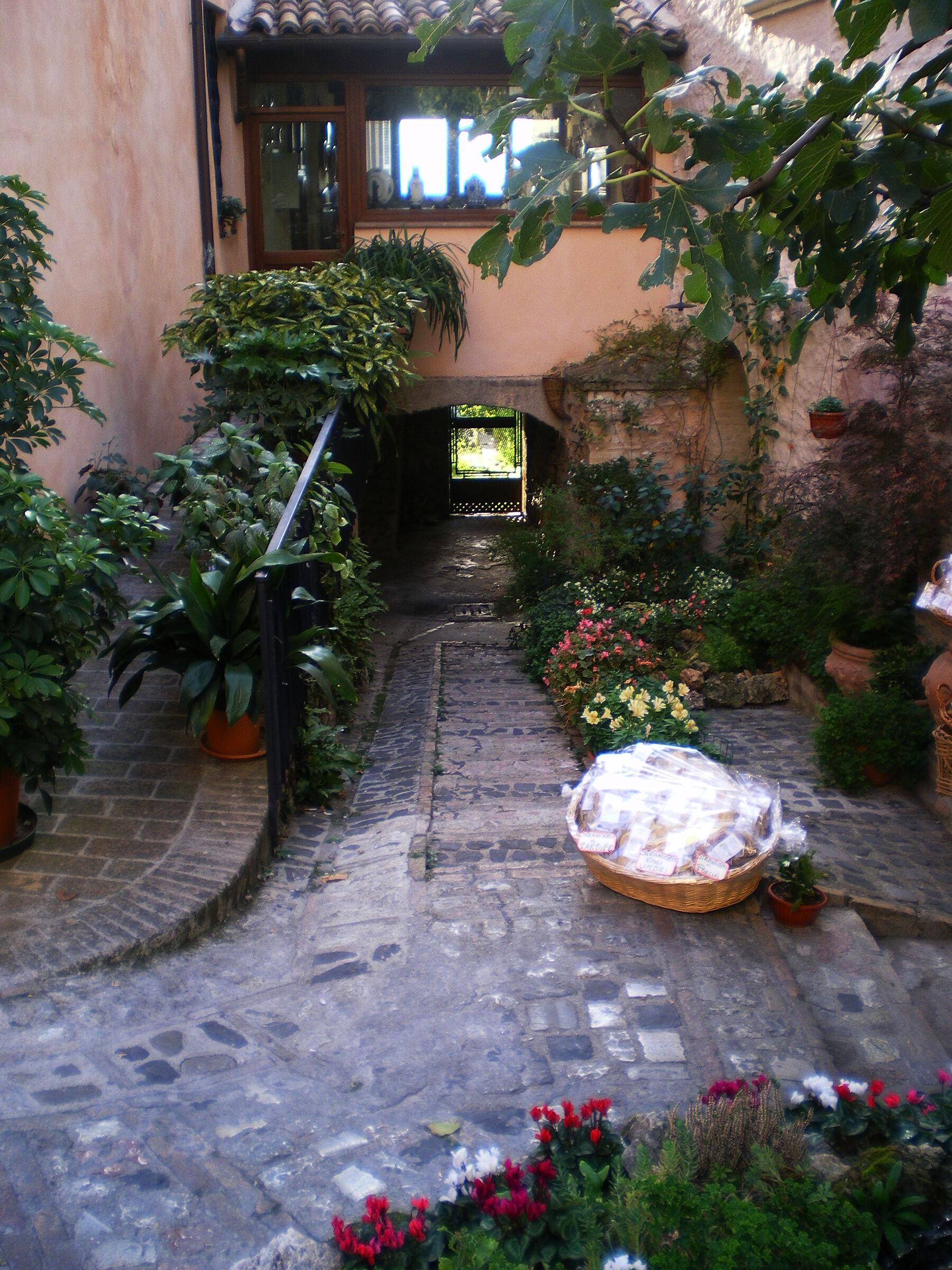 vialetto fiorito umbro