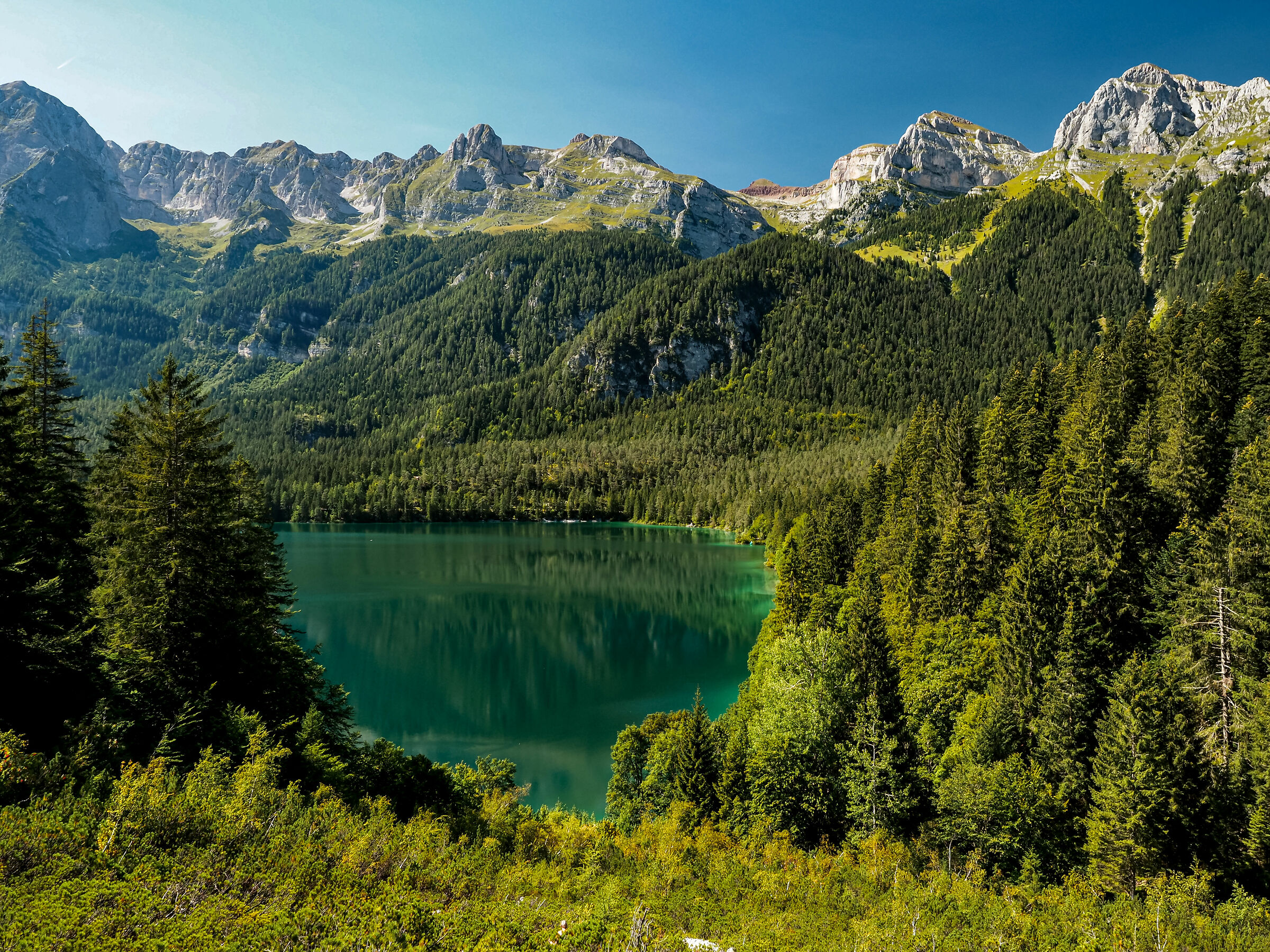 Magnifica Natura! Lago di Tovel Dolomiti di Brenta