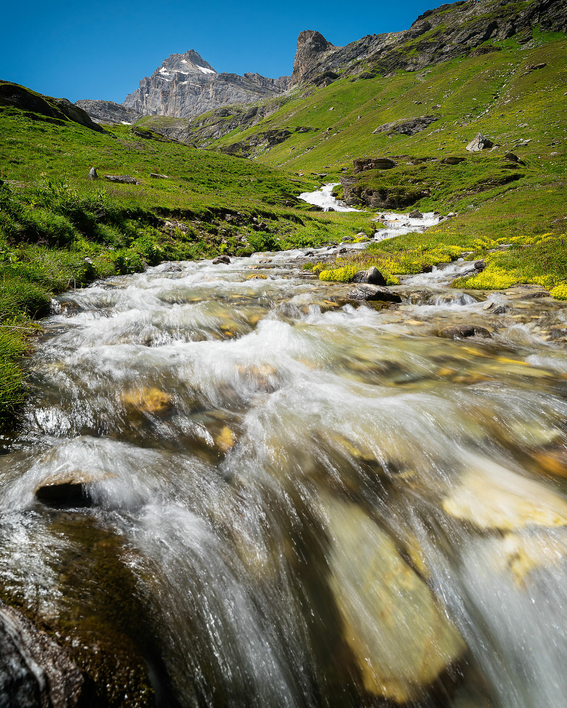 Acqua di montagna