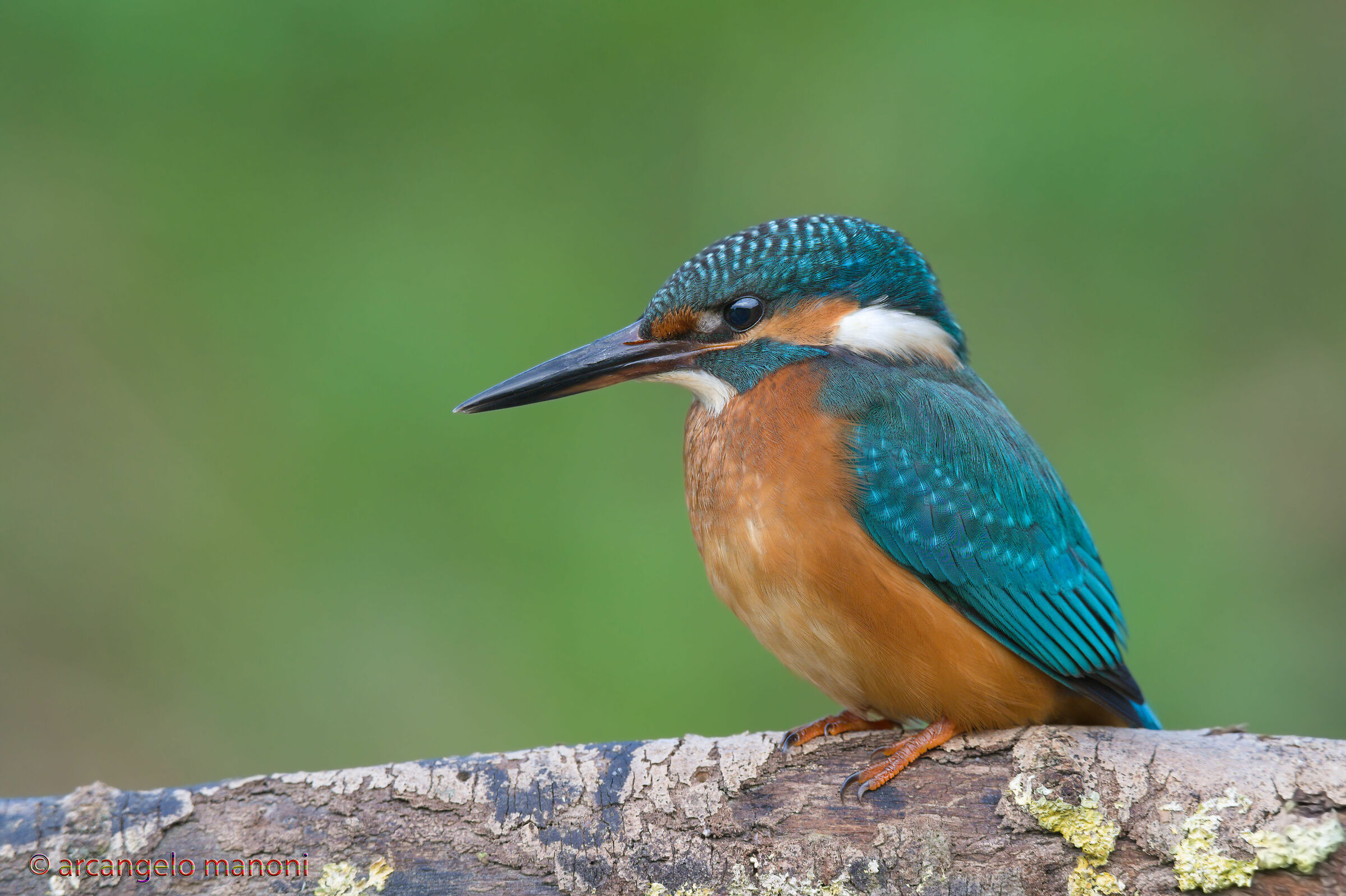 Welcome to the planet Tamron