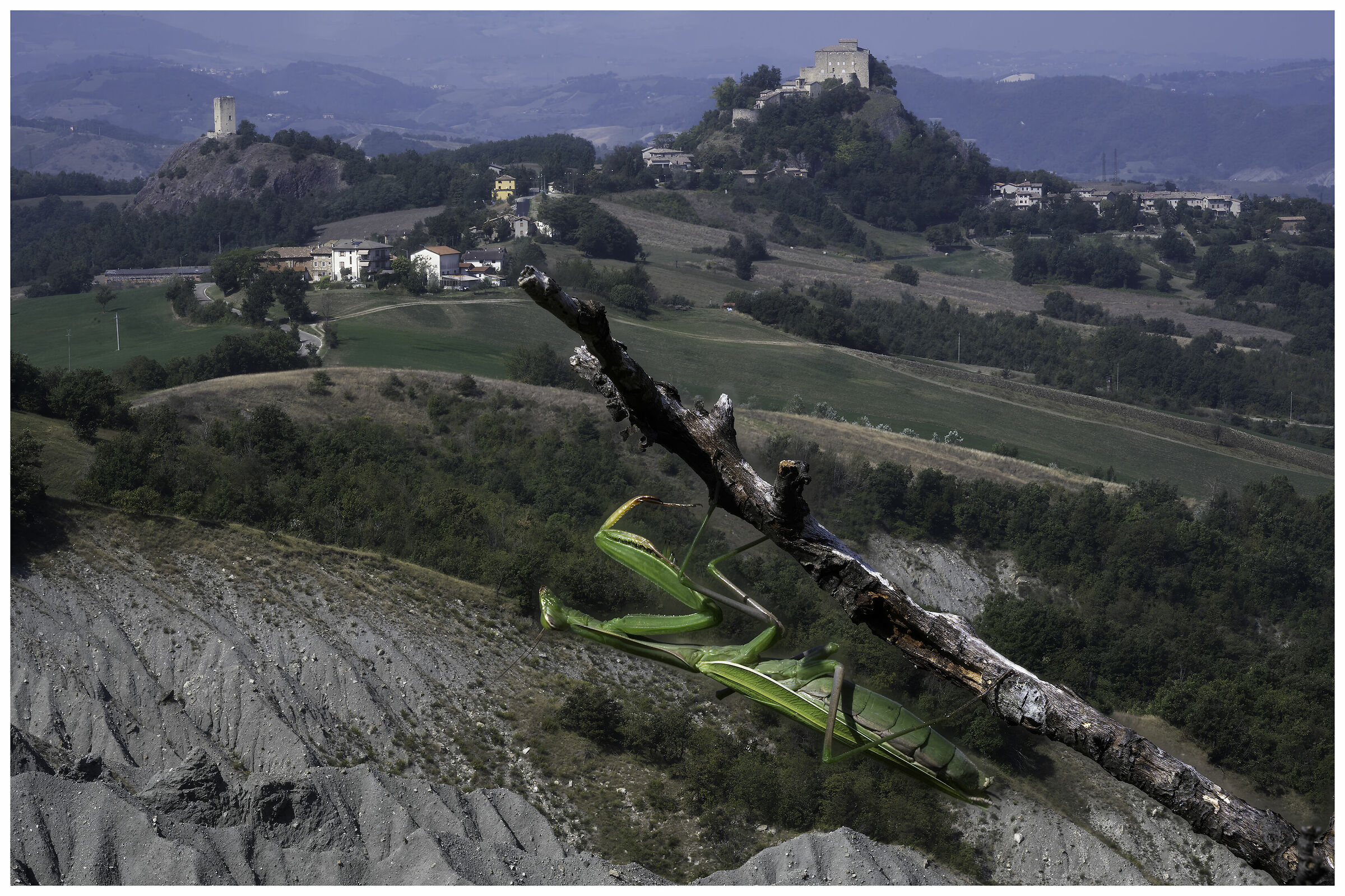 Mantide & Castello di Rossena - ReggioEmilia-