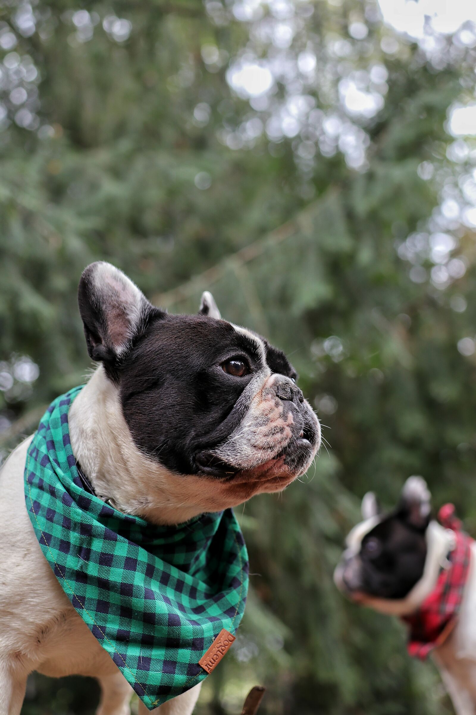 Dante and Mia at the park