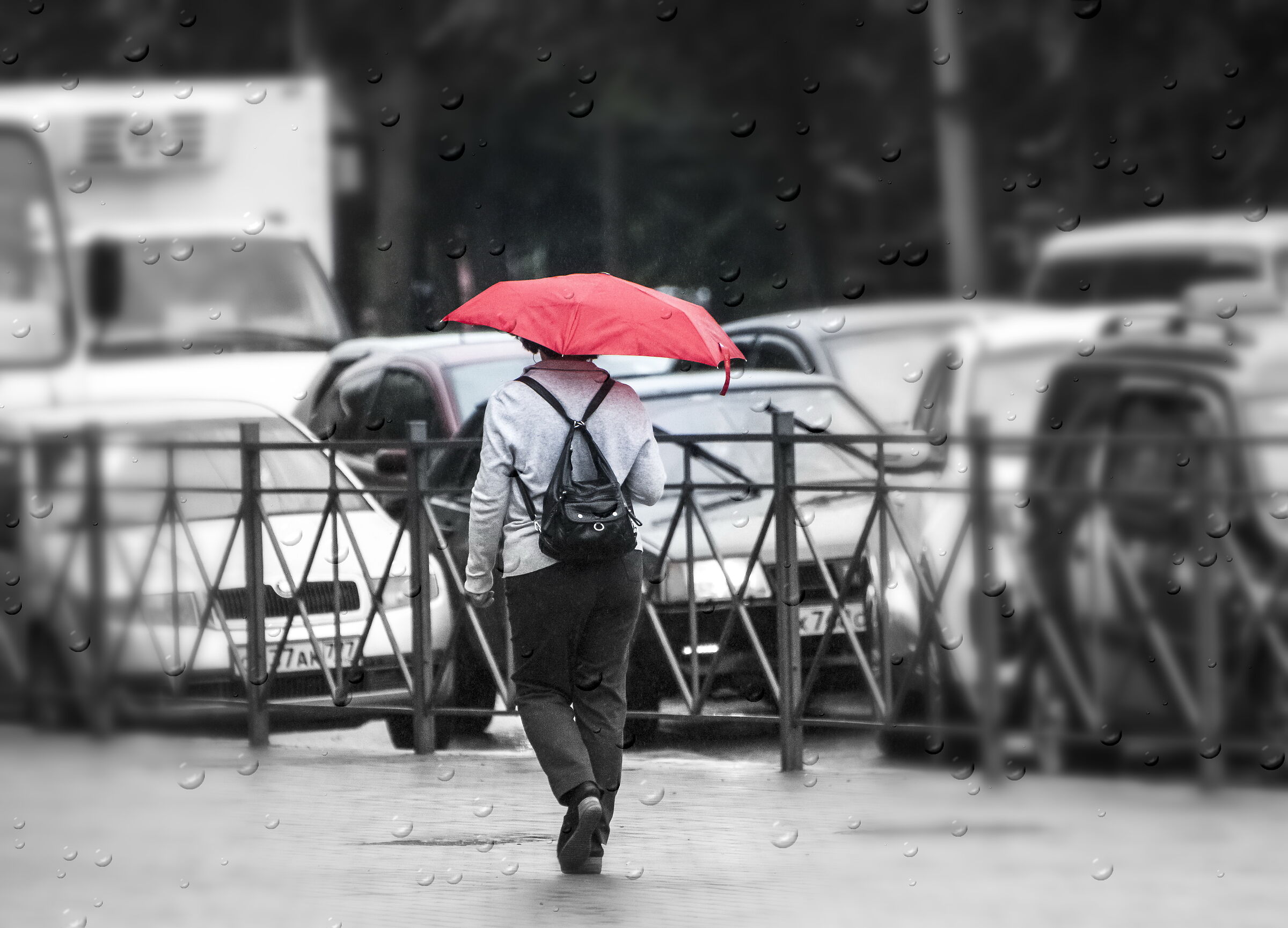 Giorno della pioggia///