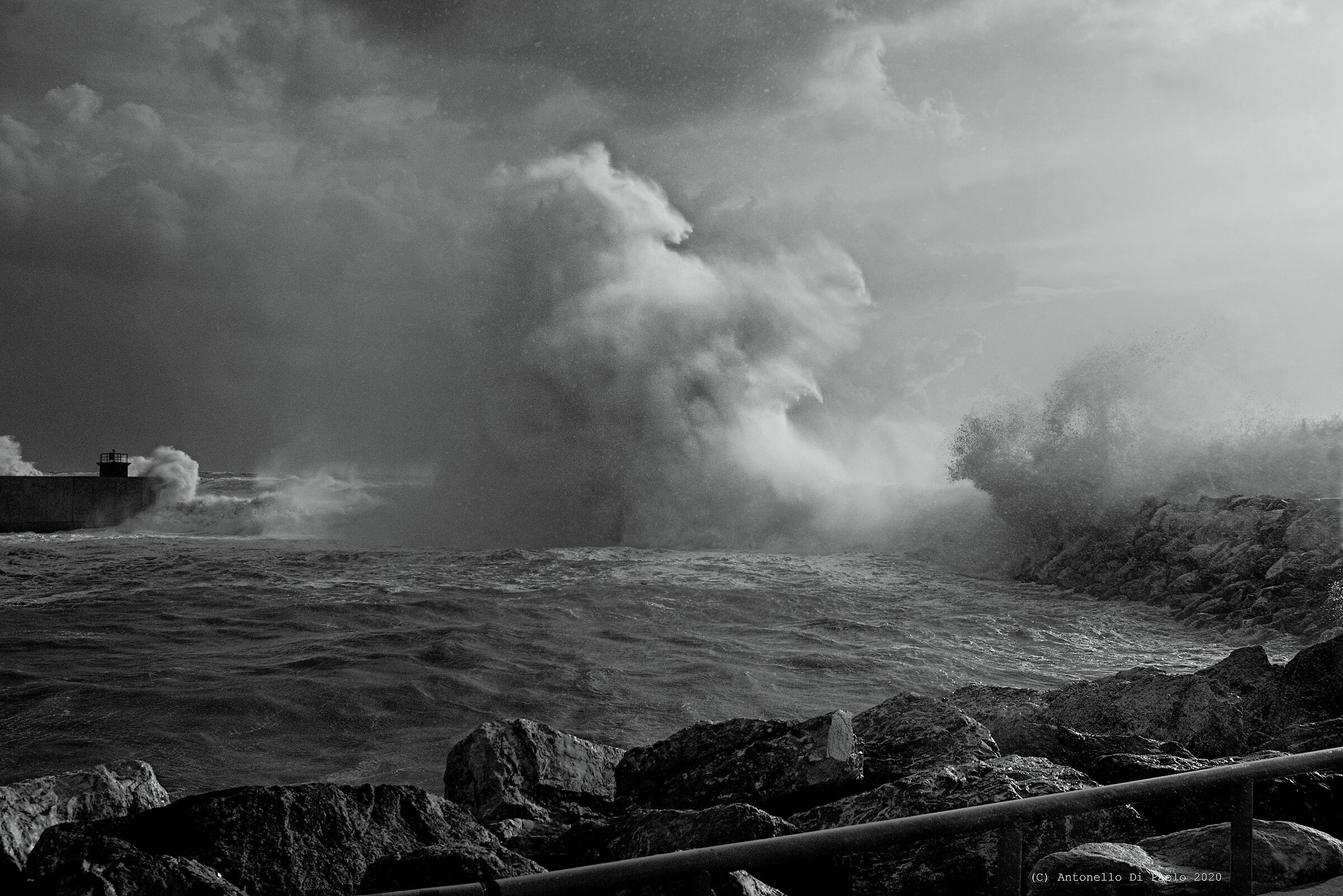 I can hear the ocean's roar