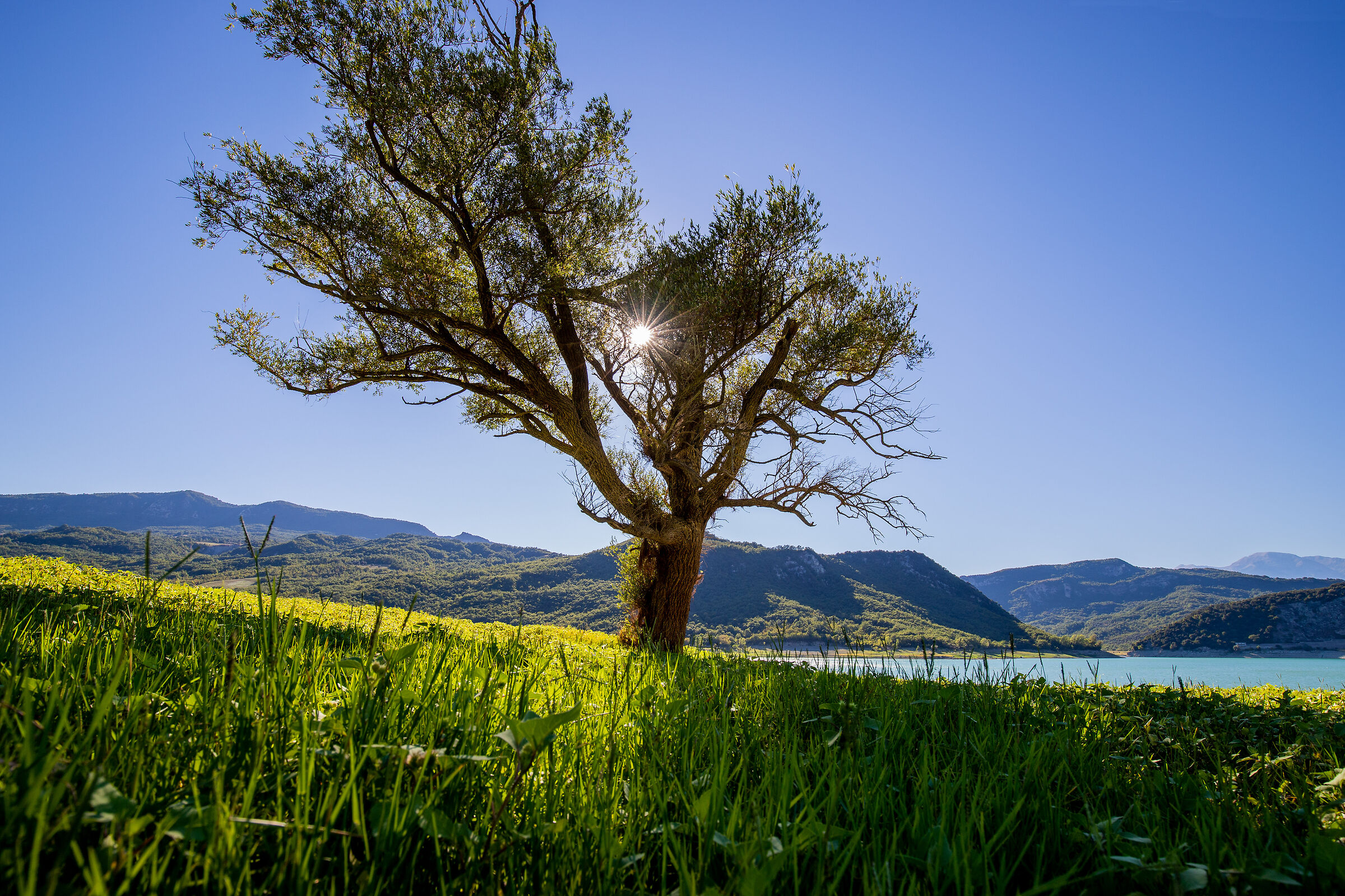 waiting for the sunset